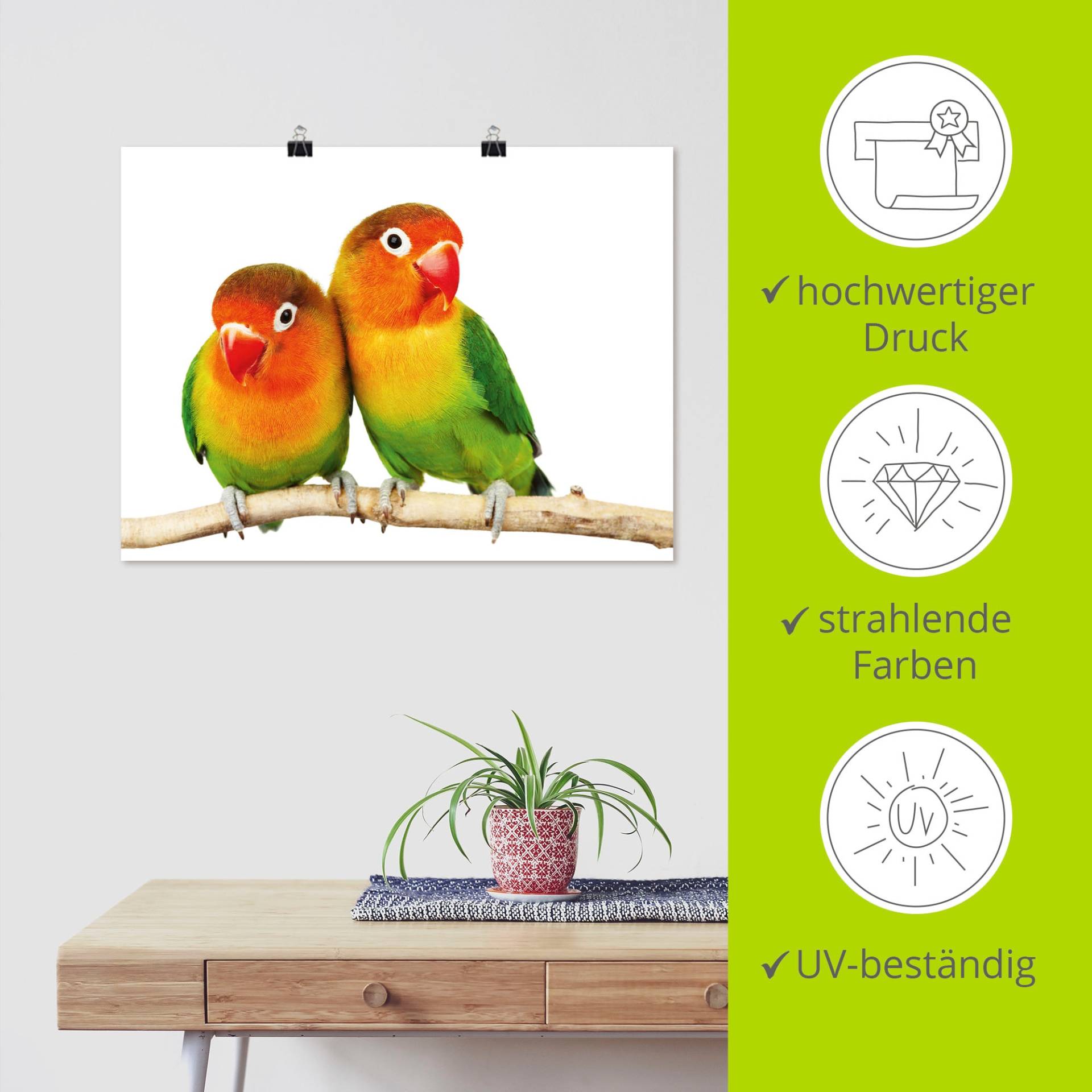 Artland Wandbild »Paar von Grauköpfchen - Papageien«, Vögel, (1 St.), als Leinwandbild, Poster, Wandaufkleber in verschied. Grössen von Artland