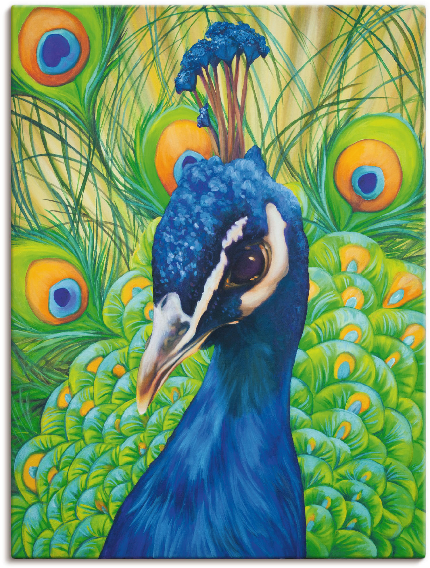 Artland Wandbild »Pfau«, Vögel, (1 St.), als Leinwandbild, Poster in verschied. Grössen von Artland