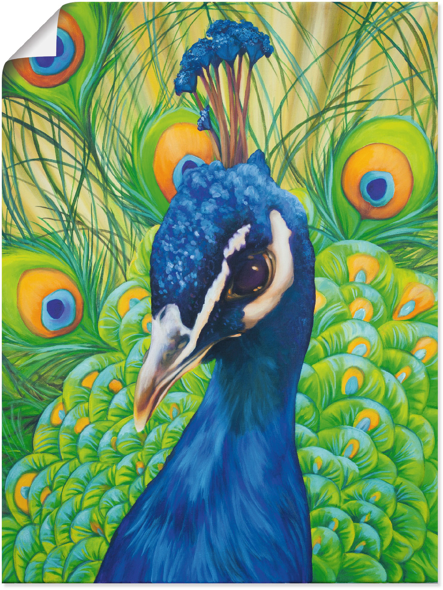 Artland Wandbild »Pfau«, Vögel, (1 St.), als Leinwandbild, Poster in verschied. Grössen von Artland