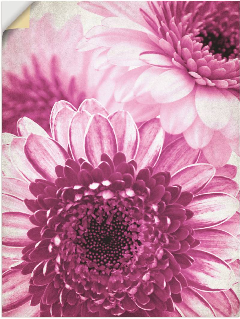 Artland Wandfolie »Pinke Gerbera«, Blumen, (1 St.), selbstklebend von Artland