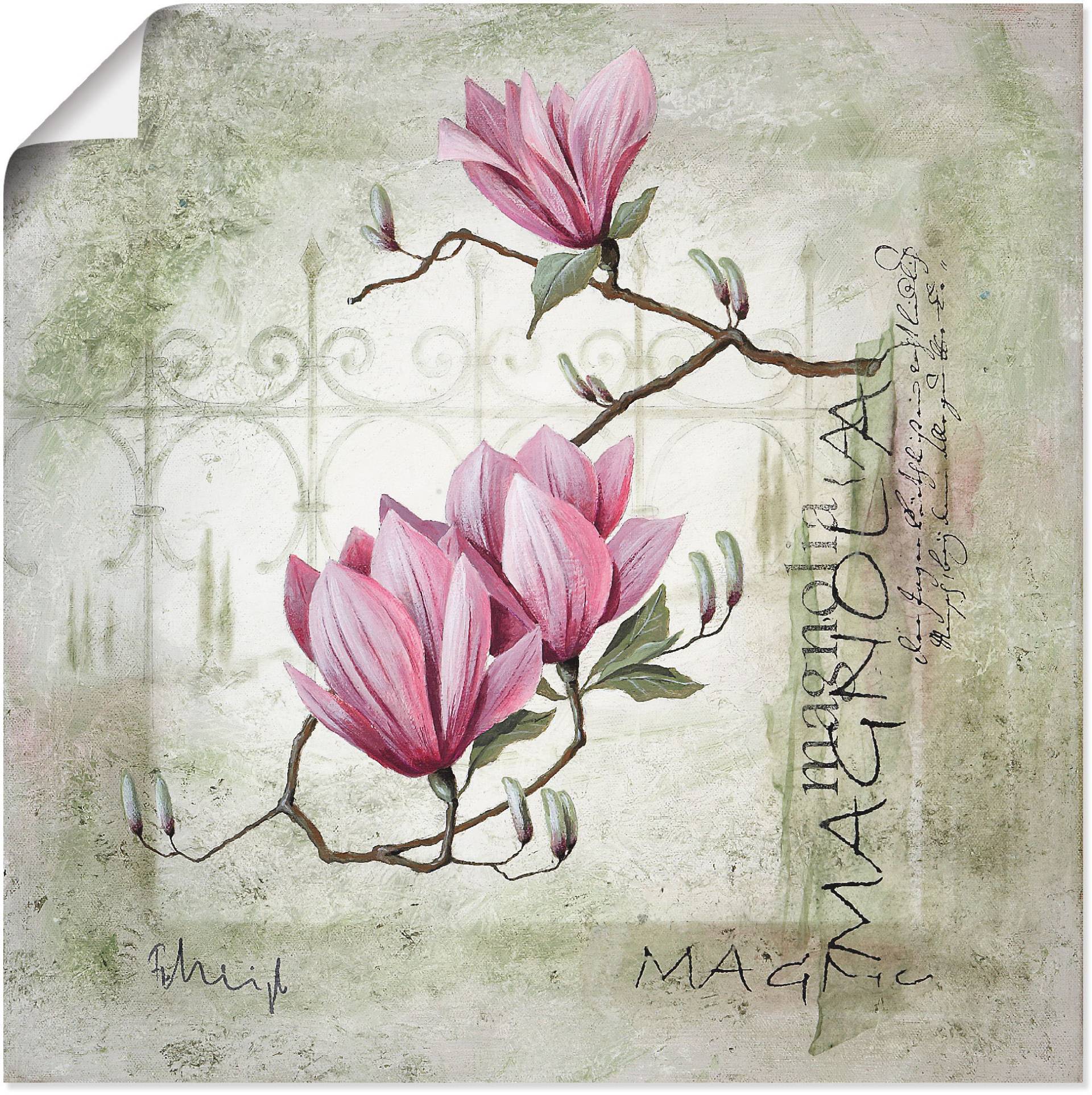 Artland Wandbild »Pinke Magnolie«, Blumen, (1 St.), als Leinwandbild, Poster, Wandaufkleber in verschied. Grössen von Artland