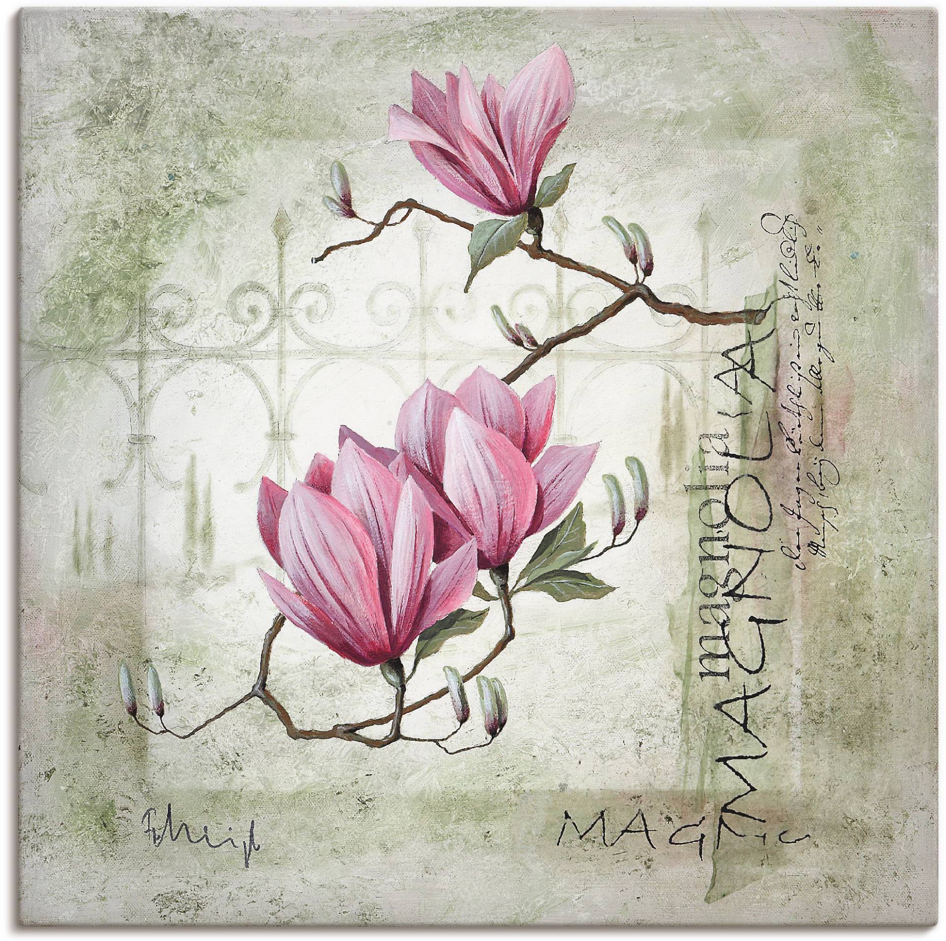 Artland Wandbild »Pinke Magnolie«, Blumen, (1 St.), als Leinwandbild, Poster, Wandaufkleber in verschied. Grössen von Artland