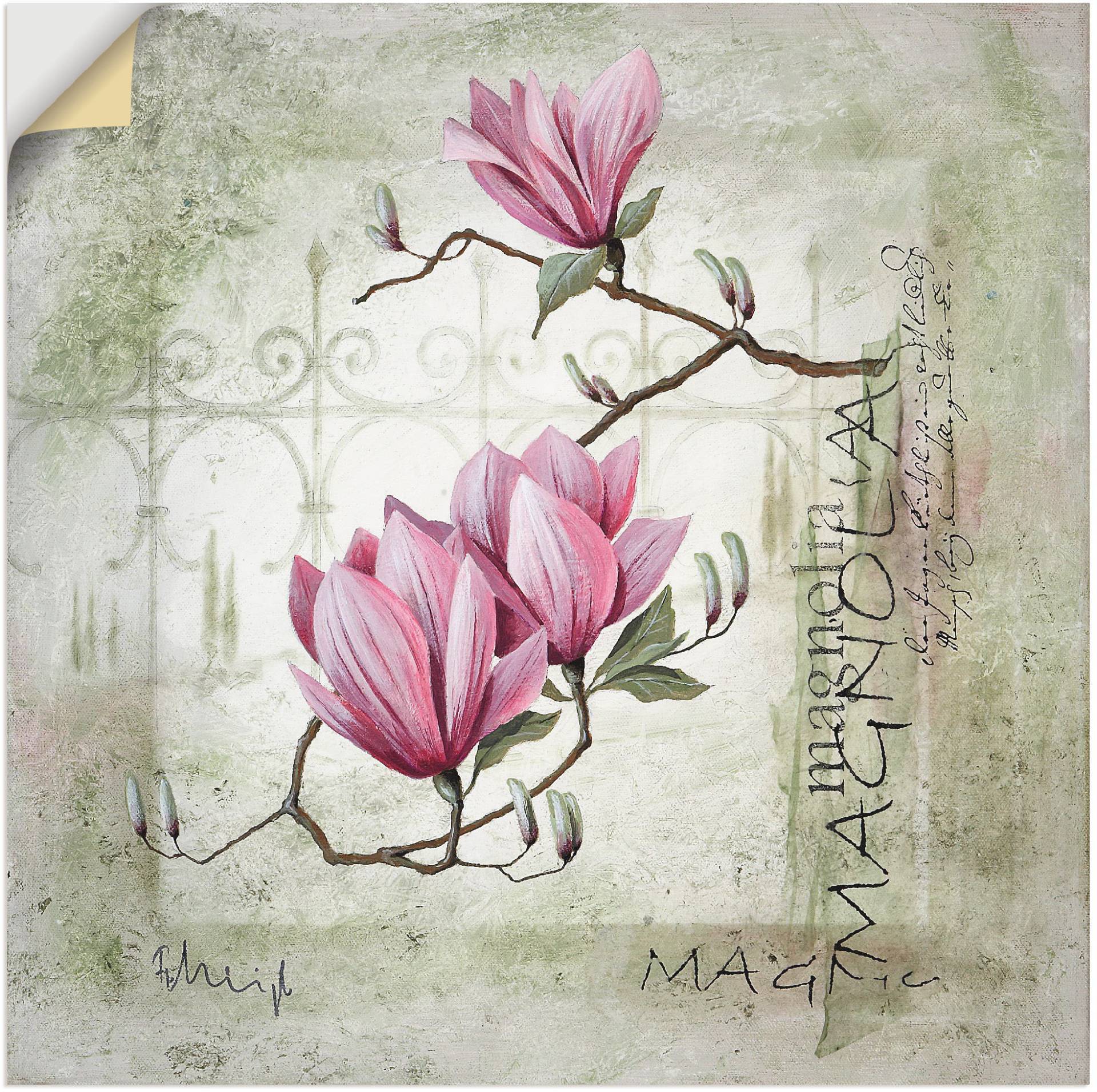 Artland Wandbild »Pinke Magnolie«, Blumen, (1 St.), als Leinwandbild, Poster, Wandaufkleber in verschied. Grössen von Artland