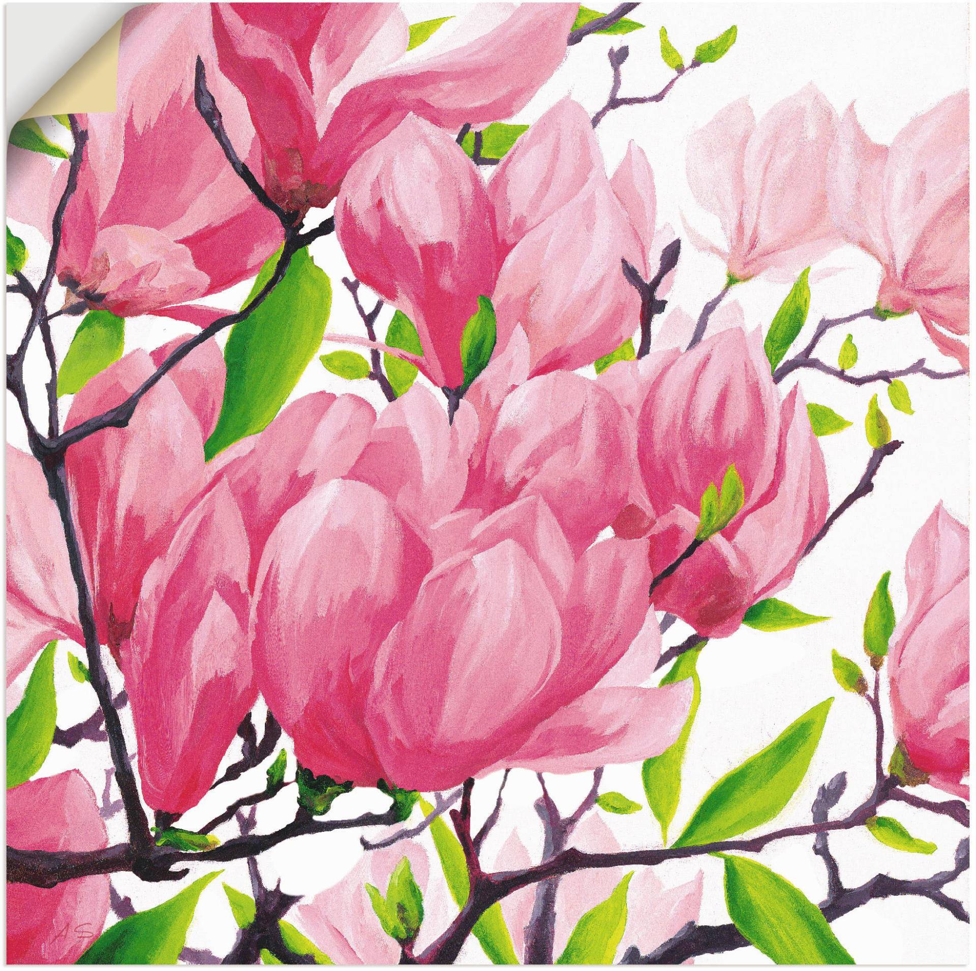 Artland Wandbild »Pinke Magnolien«, Blumen, (1 St.), als Alubild, Outdoorbild, Leinwandbild in verschied. Grössen von Artland