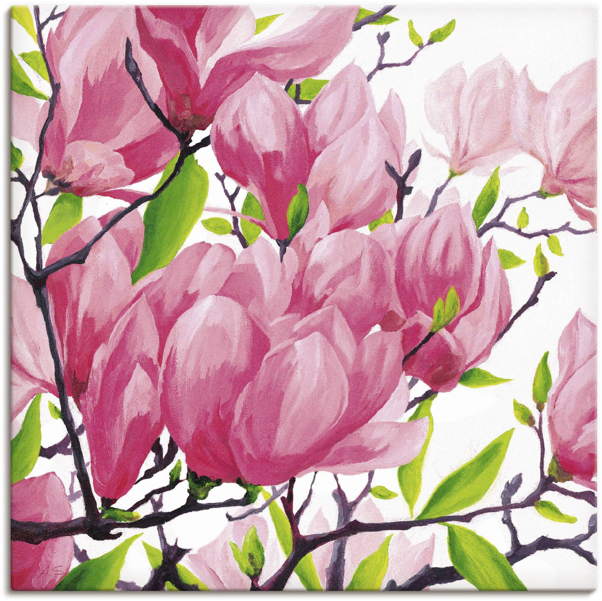 Artland Wandbild »Pinke Magnolien«, Blumen, (1 St.), als Alubild, Outdoorbild, Leinwandbild in verschied. Grössen von Artland