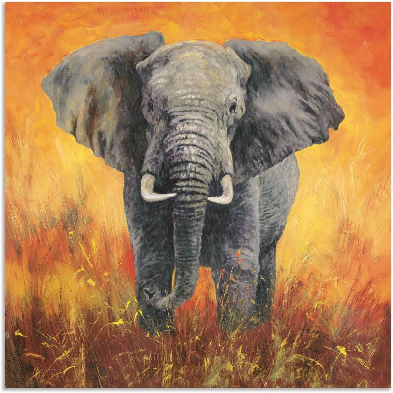 Artland Wandbild »Porträt Elefant«, Elefanten Bilder, (1 St.), als Alubild, Outdoorbild, Leinwandbild in verschied. Grössen von Artland