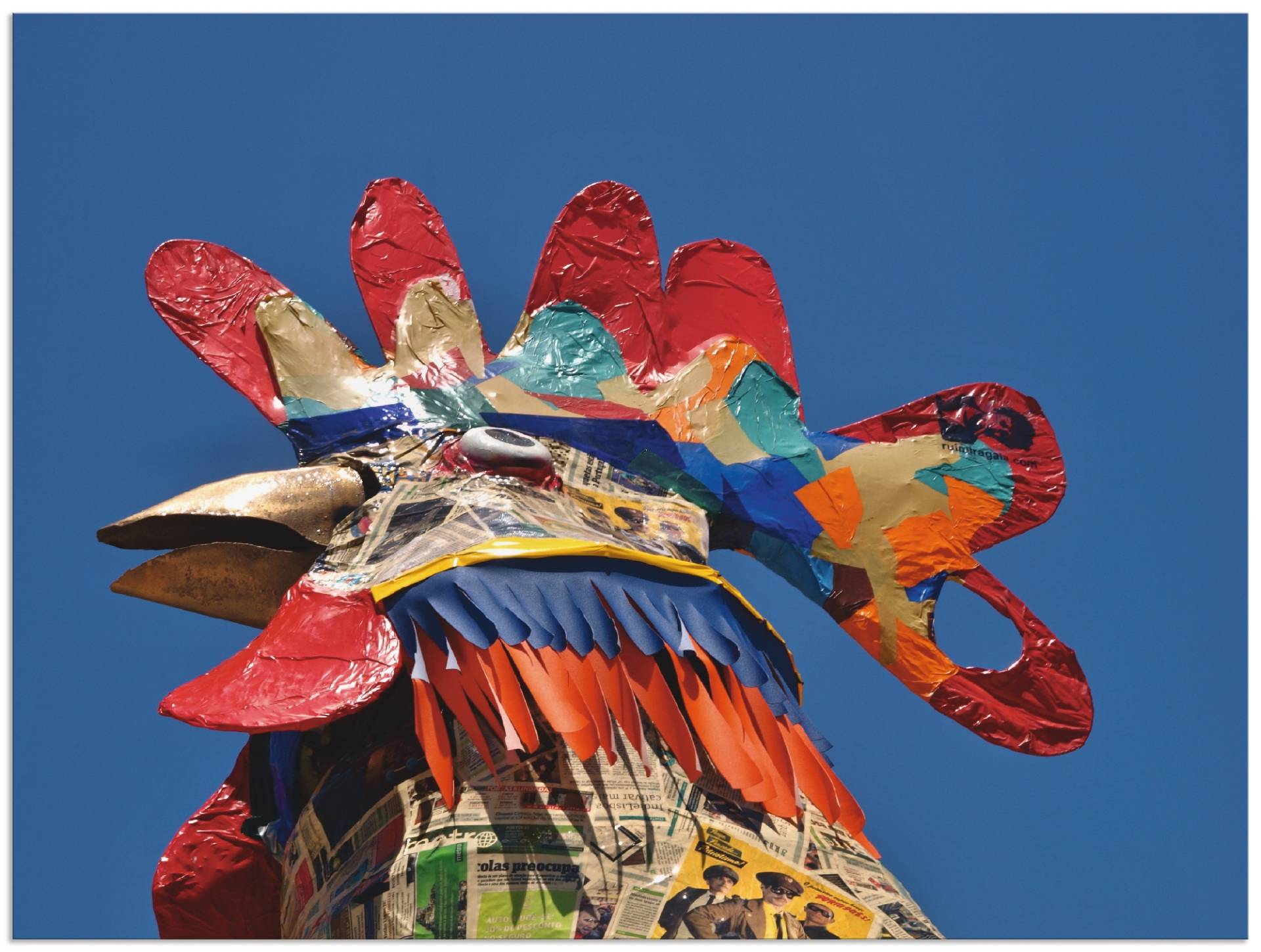 Artland Wandbild »Portugal Gallo«, Vögel, (1 St.), als Alubild, Leinwandbild, Wandaufkleber oder Poster in versch. Grössen von Artland