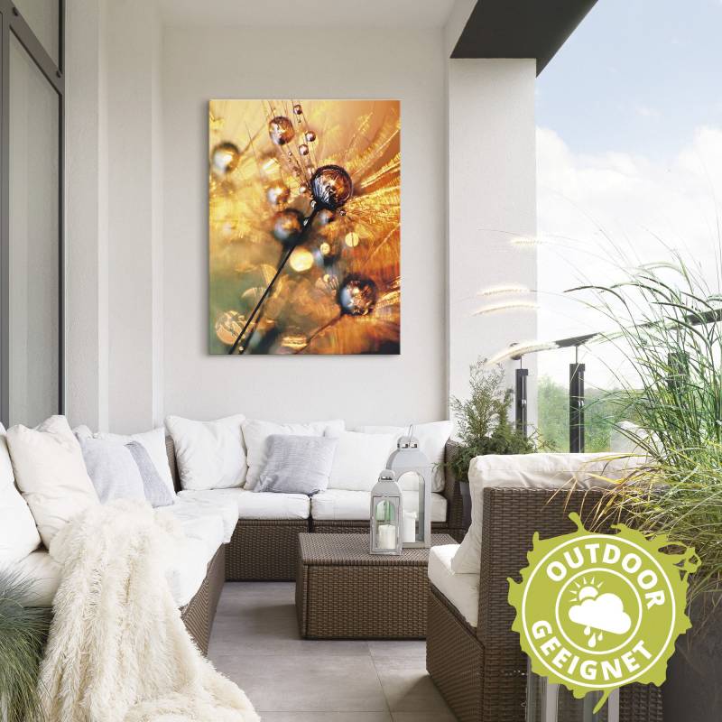 Artland Wandbild »Pusteblume Energy«, Blumen, (1 St.), als Leinwandbild, Poster in verschied. Grössen von Artland