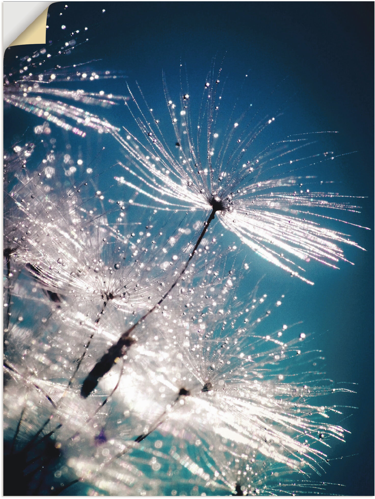 Artland Wandbild »Pusteblume Kristallschirmchen«, Blumen, (1 St.), auf Keilrahmen gespannt von Artland