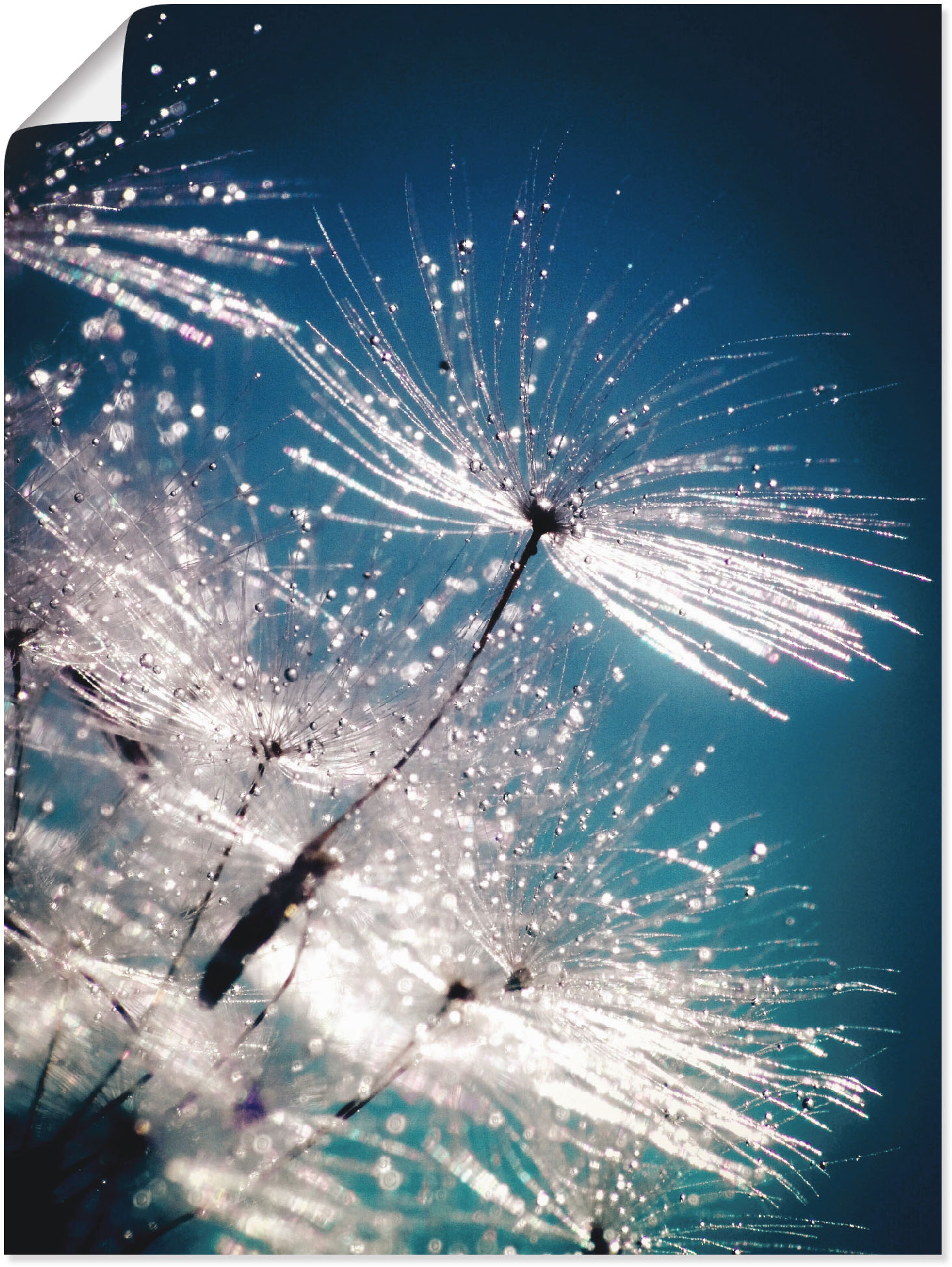 Artland Wandbild »Pusteblume Kristallschirmchen«, Blumen, (1 St.), auf Keilrahmen gespannt von Artland