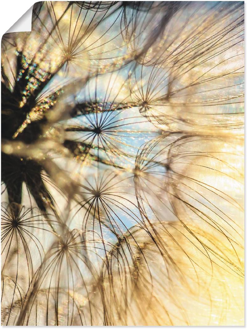 Artland Wandbild »Pusteblume Poesie«, Blumen, (1 St.), als Leinwandbild, Poster, Wandaufkleber in verschied. Grössen von Artland