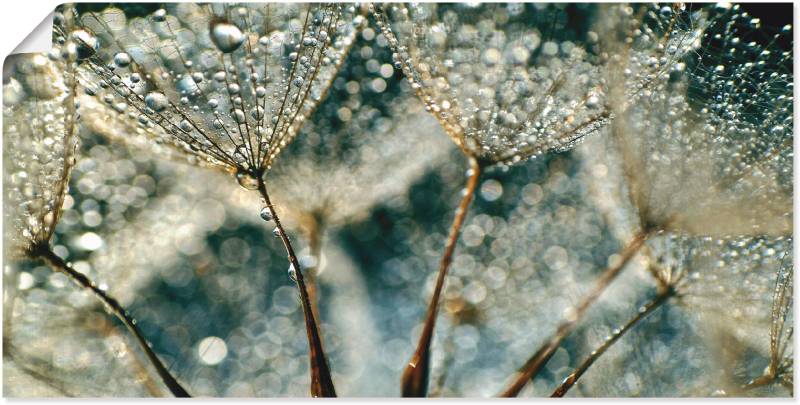 Artland Wandbild »Pusteblume Regenschauer«, Blumen, (1 St.), als Alubild, Outdoorbild, Leinwandbild, Poster, Wandaufkleber von Artland