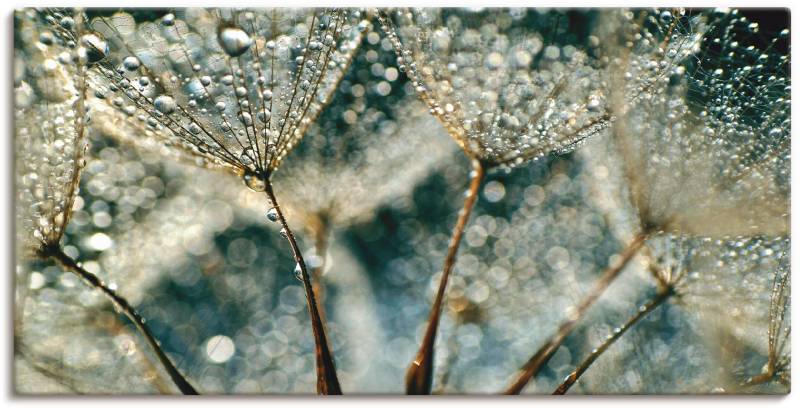 Artland Wandbild »Pusteblume Regenschauer«, Blumen, (1 St.), als Alubild, Outdoorbild, Leinwandbild, Poster, Wandaufkleber von Artland