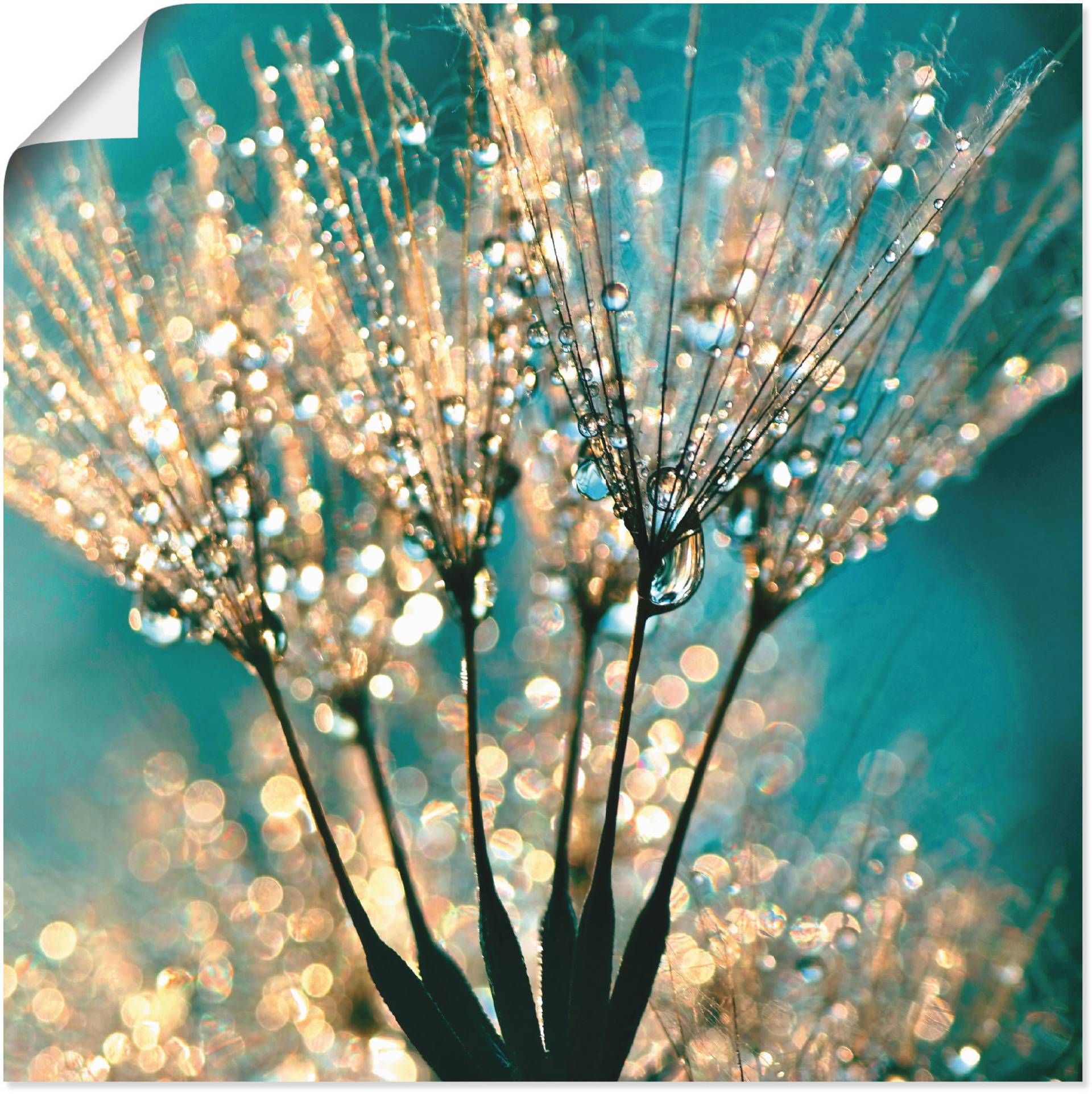 Artland Wandbild »Pusteblume Schirmchen abstrakt«, Blumen, (1 St.), als Alubild, Outdoorbild, Leinwandbild, Poster, Wandaufkleber Artland Wandbild »Pusteblume Schirmchen abstrakt«, Blumen, (1 St.), als Alubild, Outdoorbild, Leinwandbild, Poster, Wandaufkleber von Artland