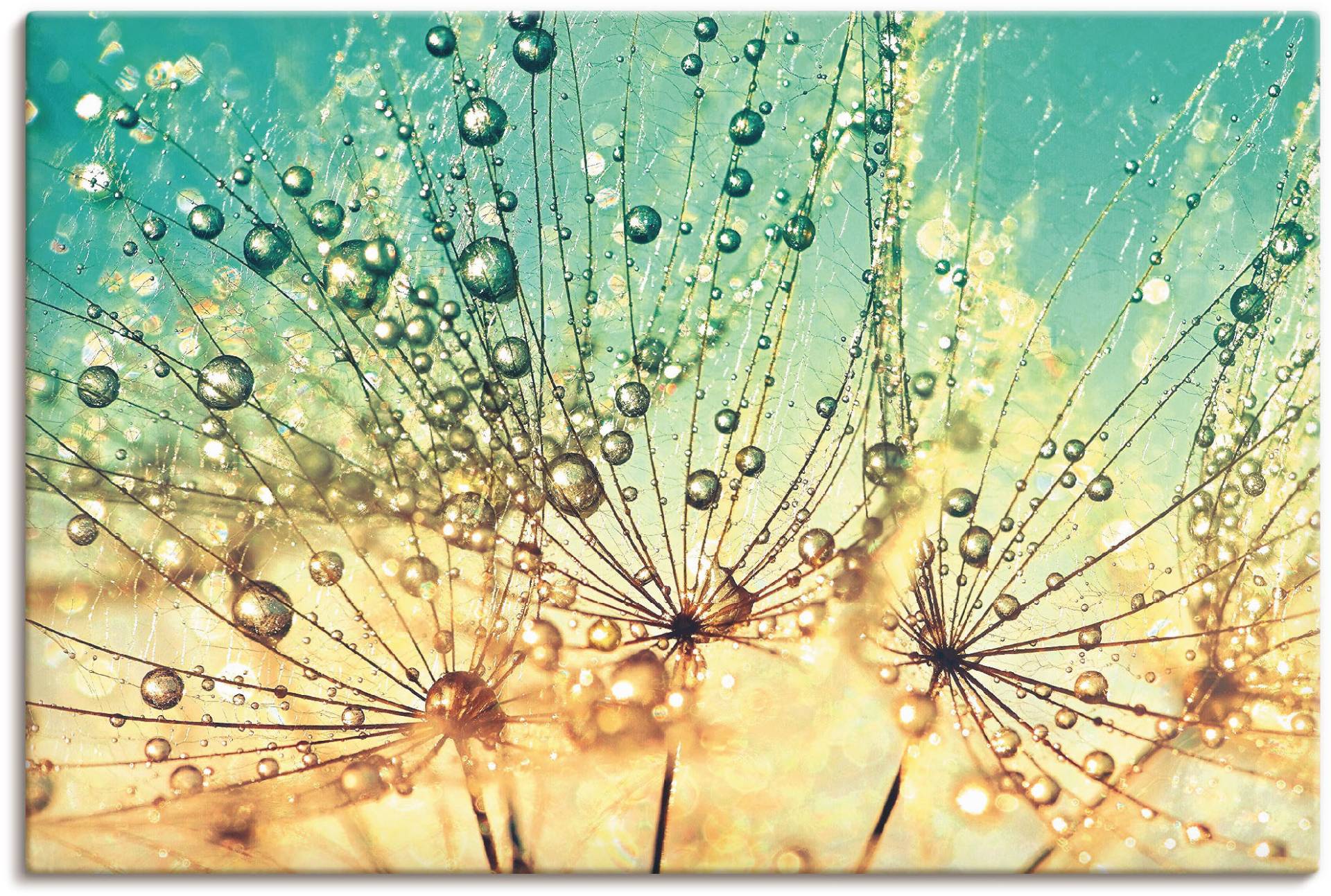 Artland Wandbild »Pusteblume Tropfenmagie«, Blumen, (1 St.), als Alubild, Outdoorbild, Leinwandbild, Poster, Wandaufkleber von Artland