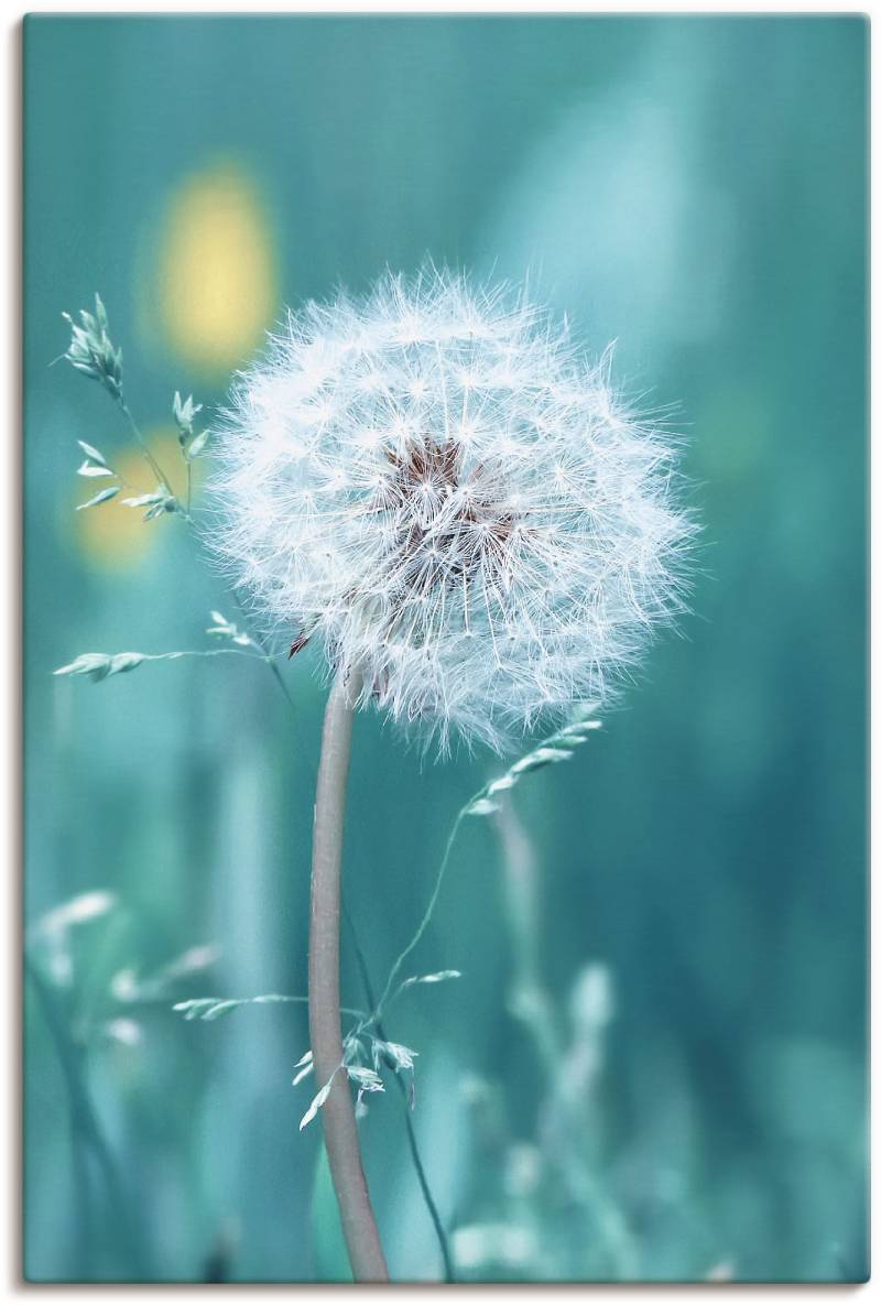 Artland Wandbild »Pusteblume«, Blumen, (1 St.), als Leinwandbild, Poster, Wandaufkleber in verschied. Grössen von Artland