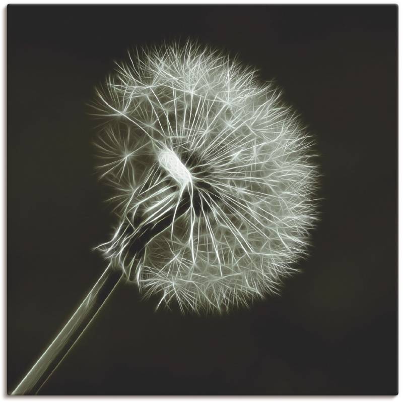 Artland Wandbild »Pusteblume«, Blumen, (1 St.), als Leinwandbild, Poster in verschied. Grössen von Artland