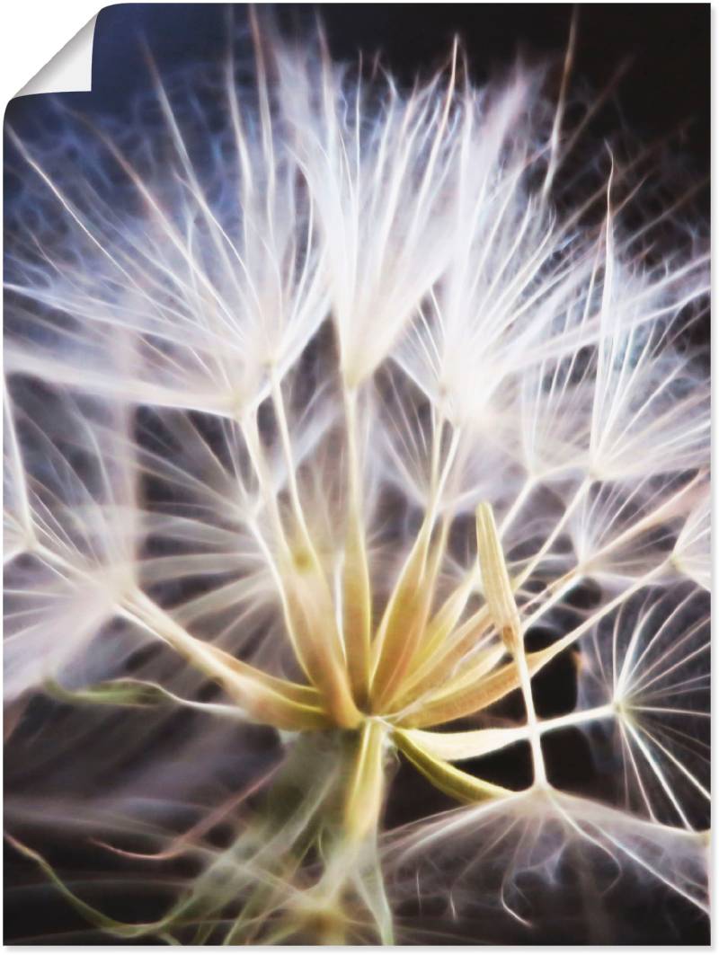 Artland Wandbild »Pusteblume«, Blumen, (1 St.), als Leinwandbild, Poster in verschied. Grössen von Artland