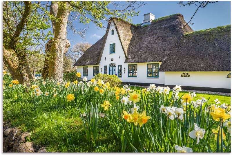 Artland Wandbild »Reetdachhaus auf Sylt im Frühling«, Gebäude, (1 St.), als Alubild, Leinwandbild, Wandaufkleber oder Poster in versch. Grössen von Artland