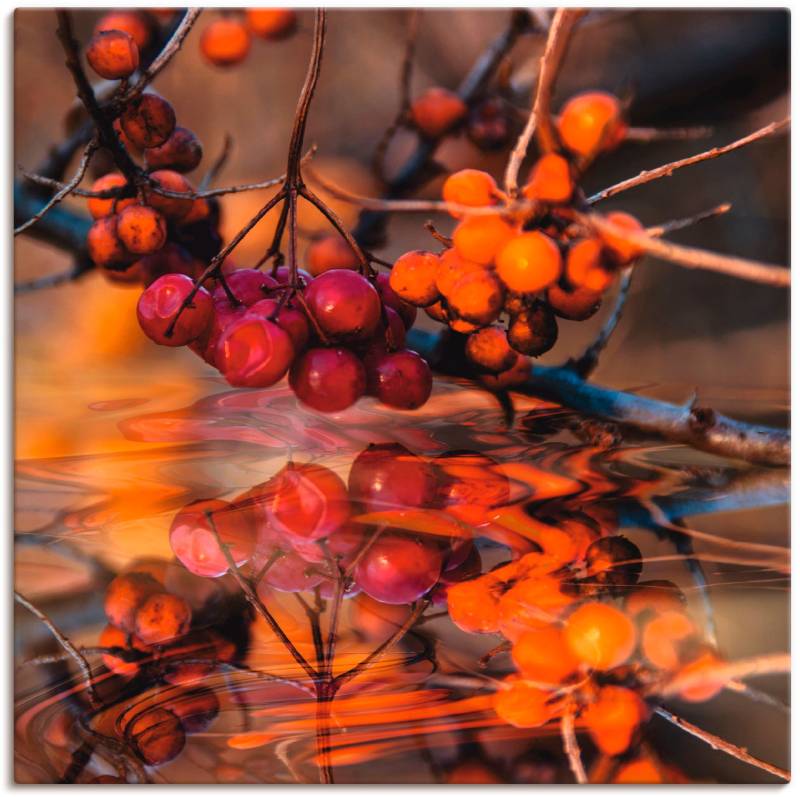 Artland Leinwandbild »Rote Beeren - Wildbeeren«, Pflanzen, (1 St.), auf Keilrahmen gespannt von Artland