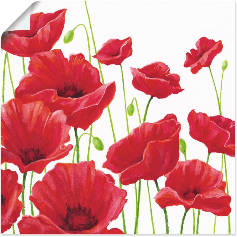 Artland Wandbild »Rote Mohnblumen I«, Blumen, (1 St.), als Alubild, Outdoorbild, Leinwandbild, Poster, Wandaufkleber von Artland