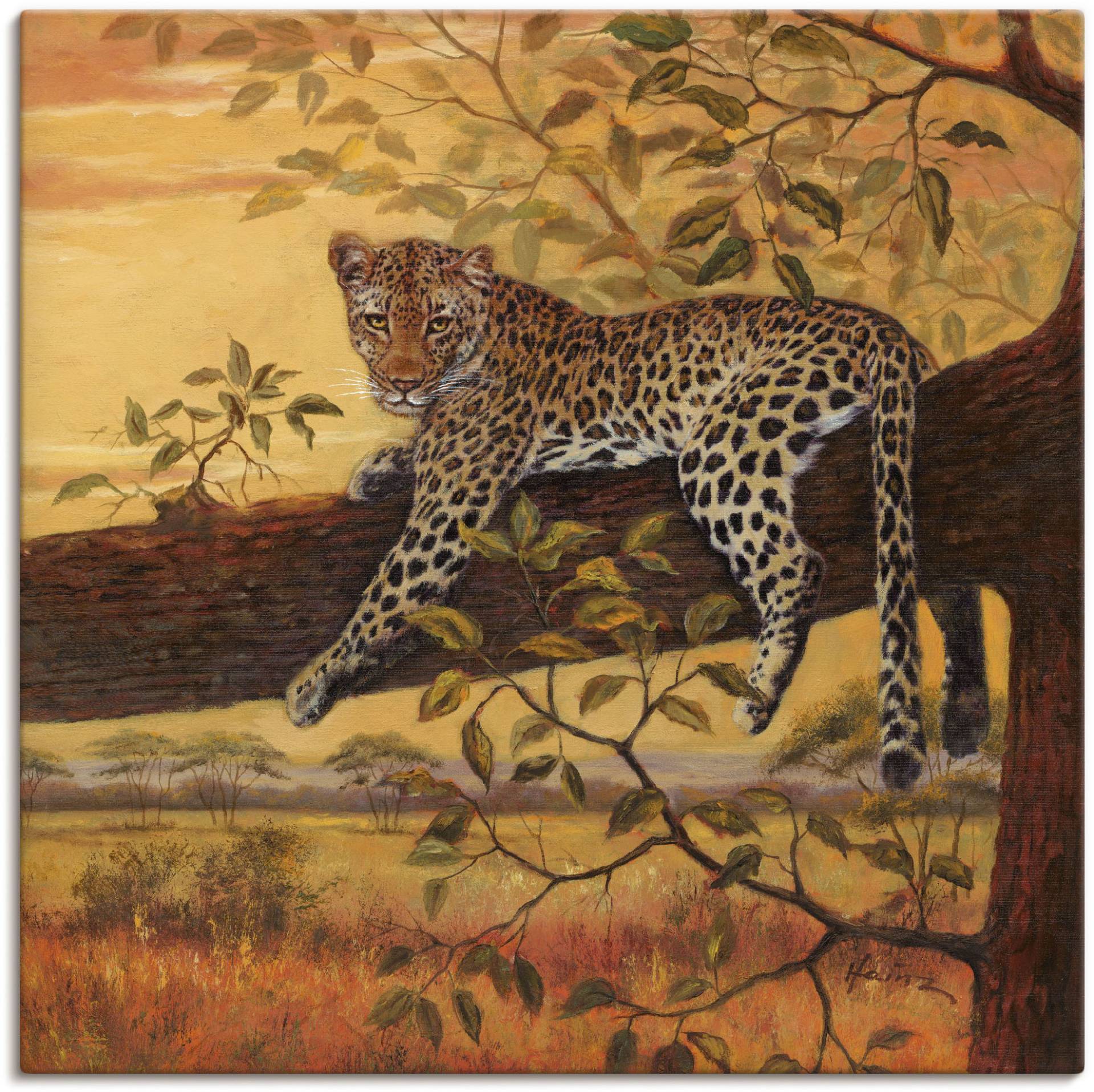 Artland Wandbild »Ruhender Leopard«, Wildtiere, (1 St.), als Leinwandbild, Wandaufkleber in verschied. Grössen von Artland