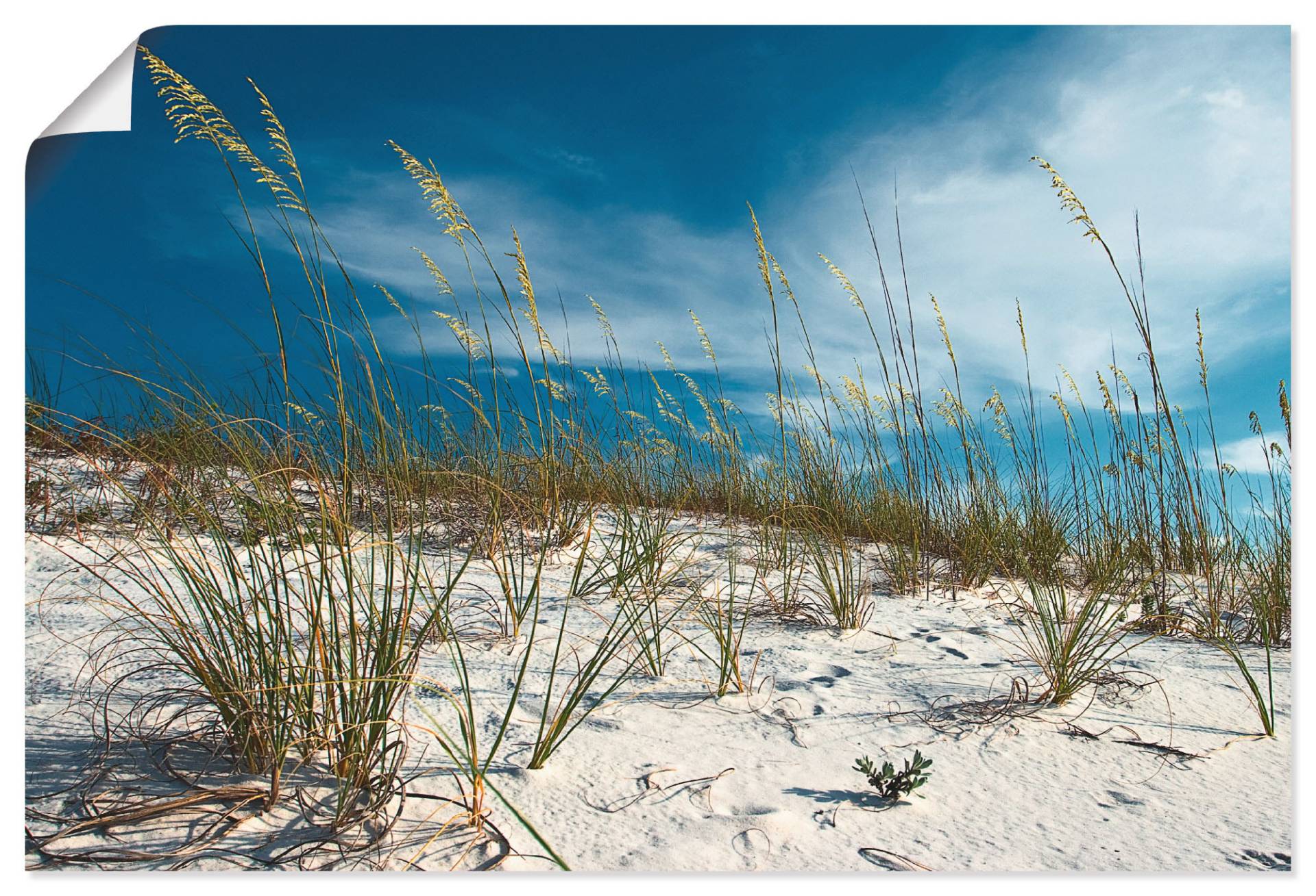 Artland Wandbild »Sanddüne und Gräser«, Strand, (1 St.), als Alubild, Outdoorbild, Leinwandbild, Poster in verschied. Grössen von Artland