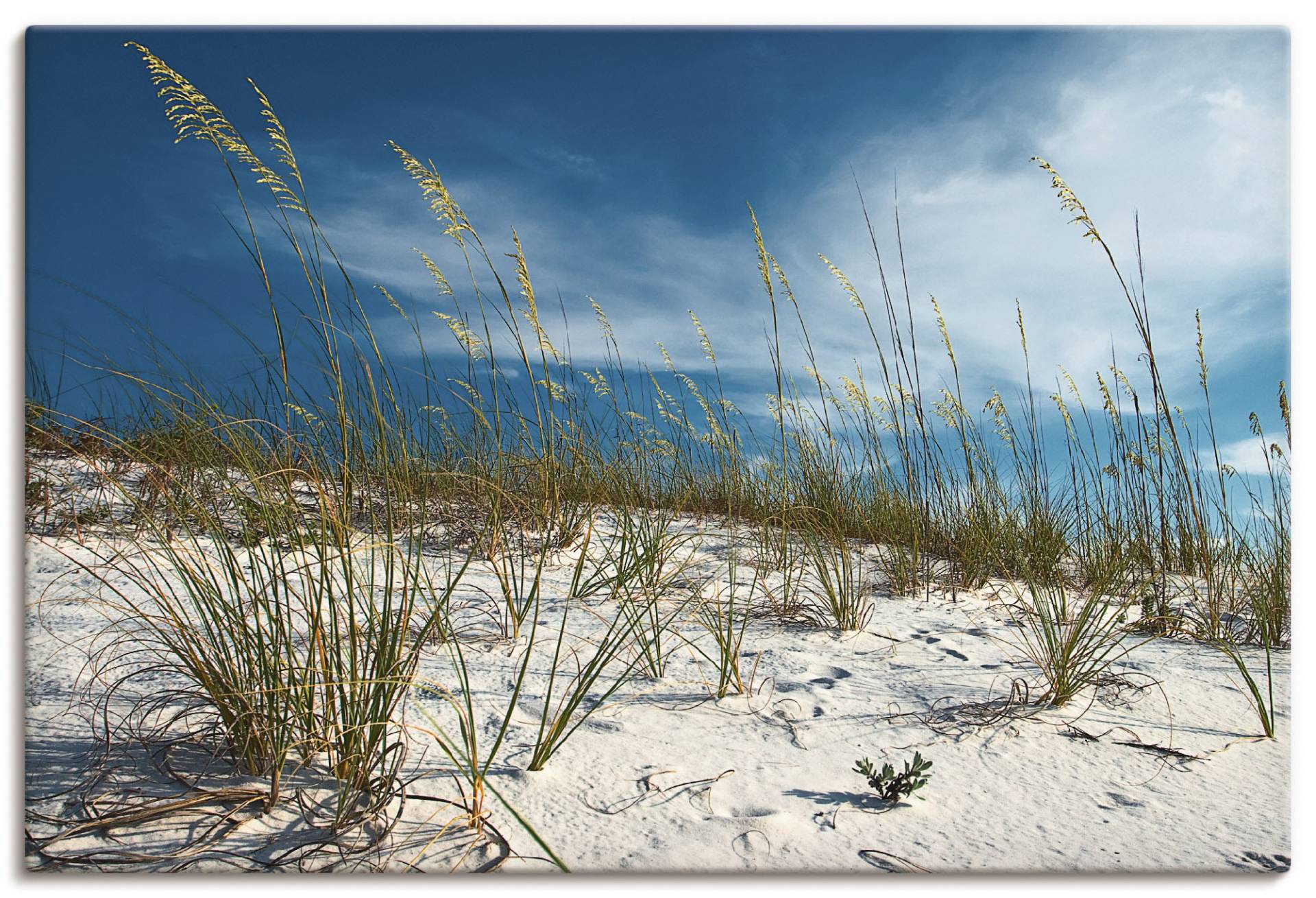 Artland Wandbild »Sanddüne und Gräser«, Strand, (1 St.), als Alubild, Outdoorbild, Leinwandbild, Poster in verschied. Grössen von Artland