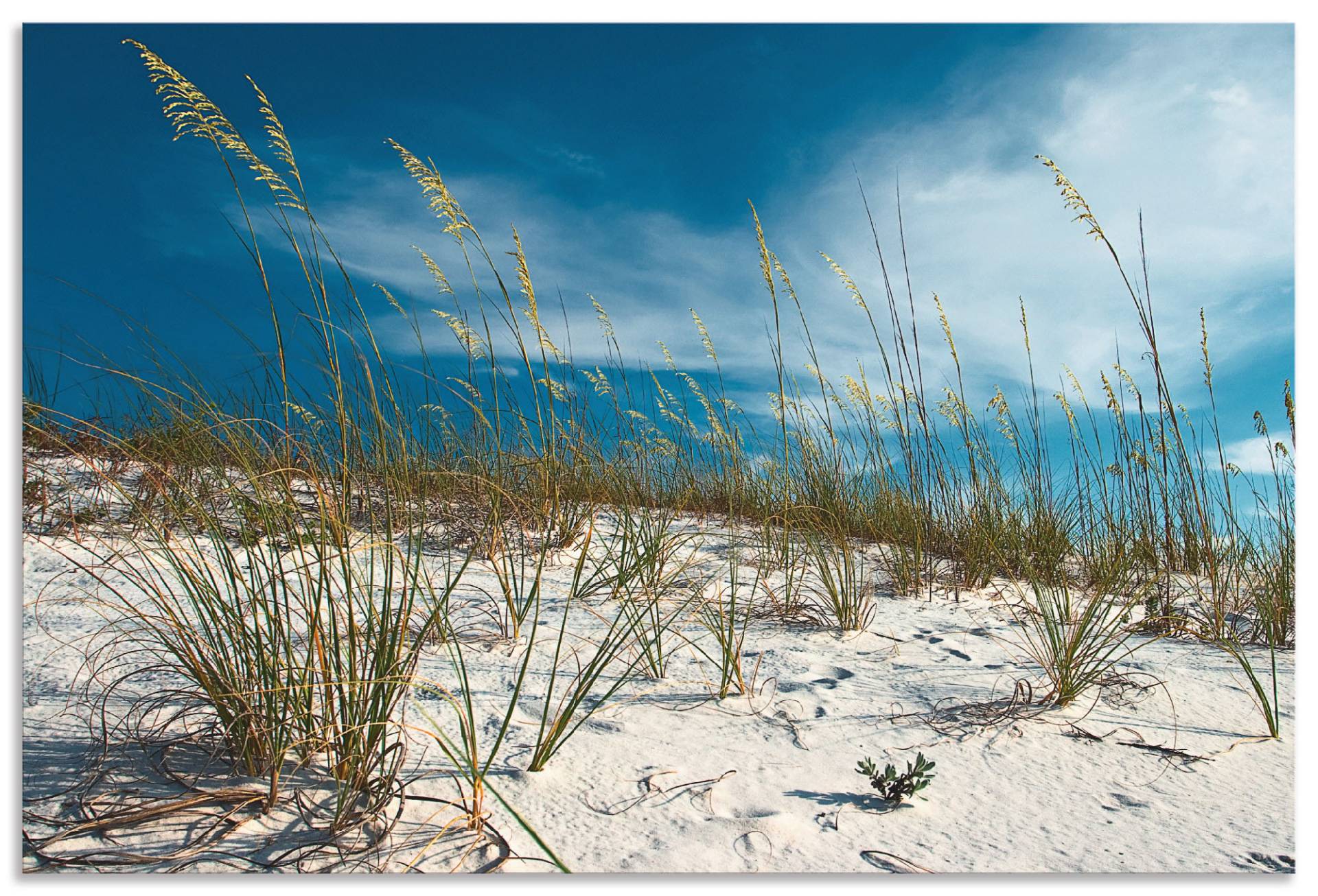 Artland Wandbild »Sanddüne und Gräser«, Strand, (1 St.), als Alubild, Outdoorbild, Leinwandbild, Poster in verschied. Grössen von Artland