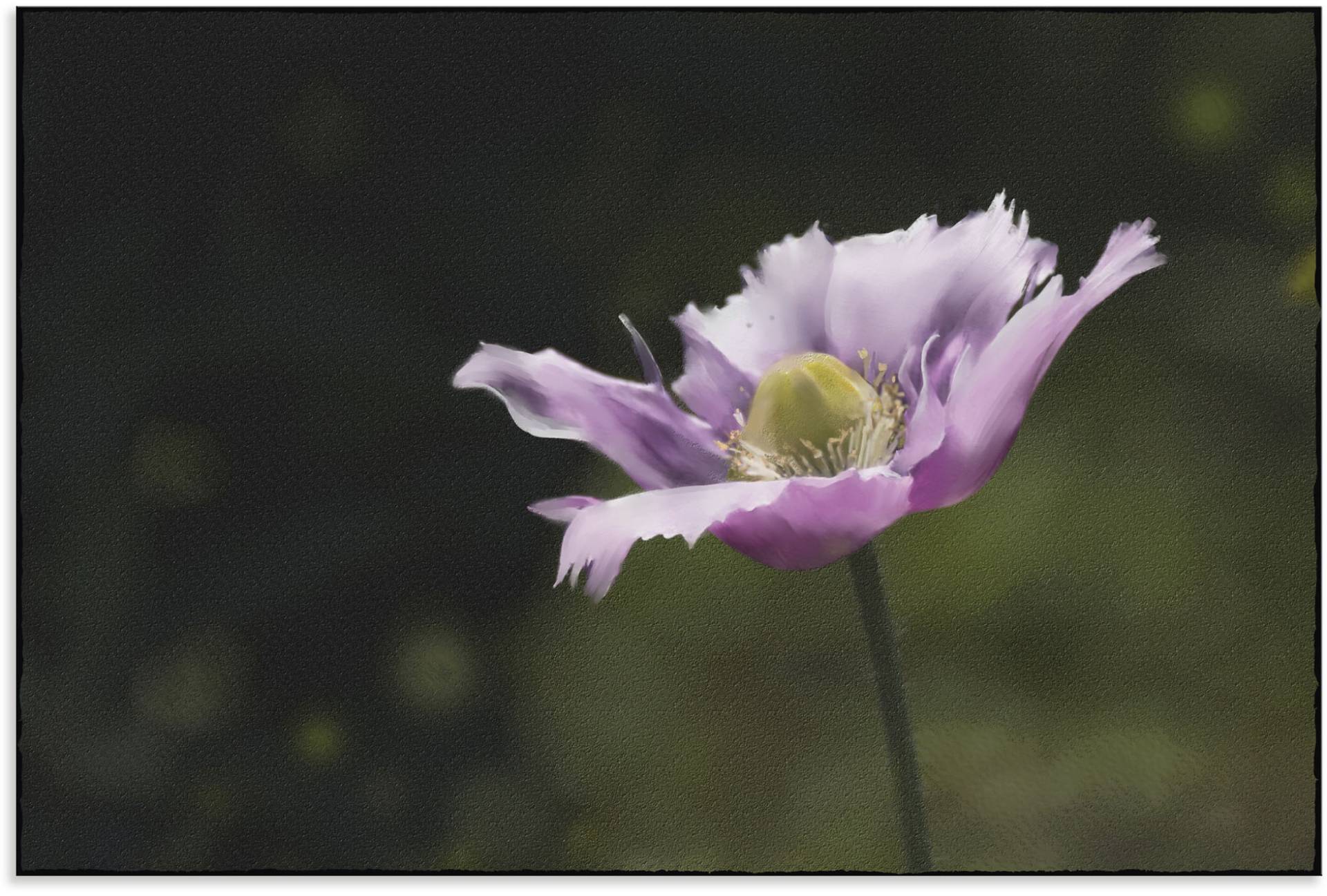 Artland Wandbild »Schlafmohn«, Blumenbilder, (1 St.), als Alubild, Leinwandbild, Wandaufkleber oder Poster in versch. Grössen von Artland