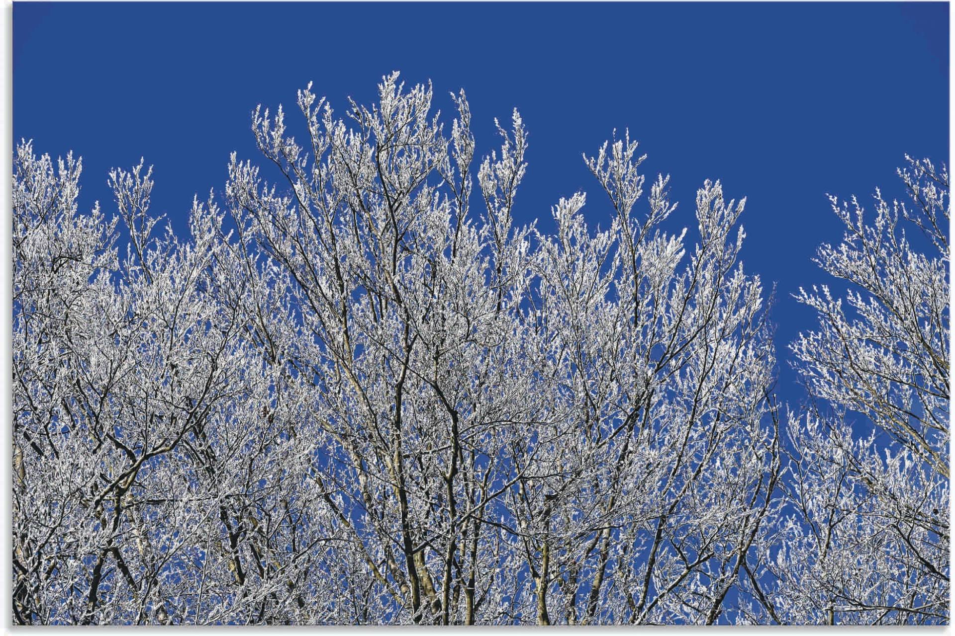 Artland Wandbild »Schneebedeckte Bäume«, Vier Jahreszeiten Bilder, (1 St.), als Alubild, Leinwandbild, Wandaufkleber oder Poster in versch. Grössen von Artland