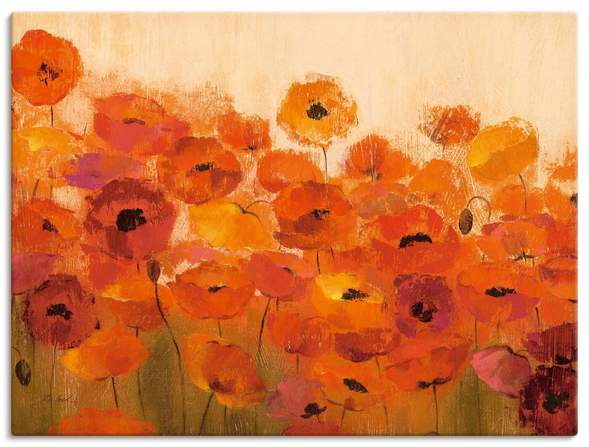 Artland Wandbild »Sommer Mohn«, Blumen, (1 St.), als Leinwandbild, Wandaufkleber oder Poster in versch. Grössen von Artland