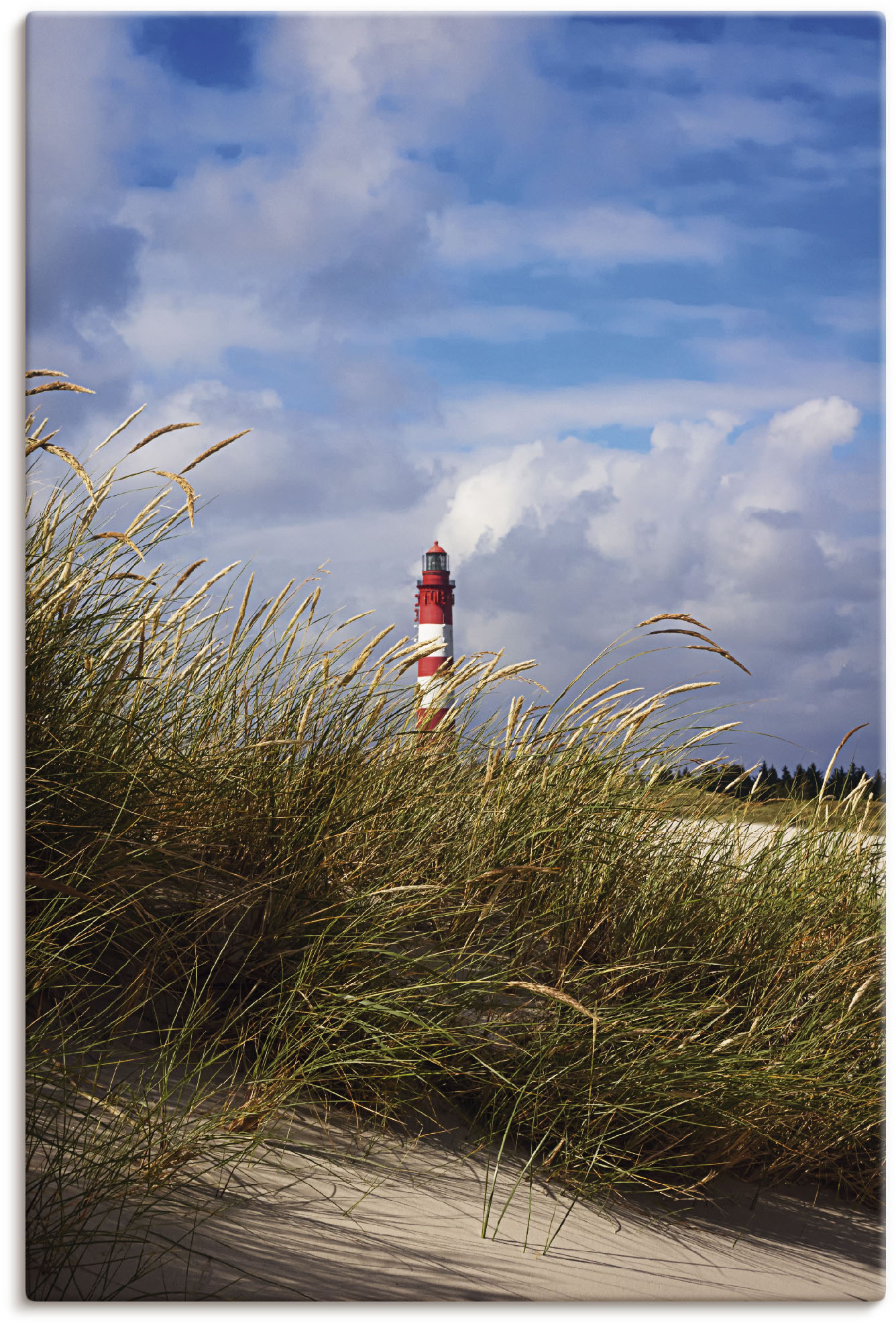 Artland Wandbild »Sommerimpression Amrumer Leuchtturm«, Gebäude, (1 St.), als Leinwandbild, Poster in verschied. Grössen von Artland