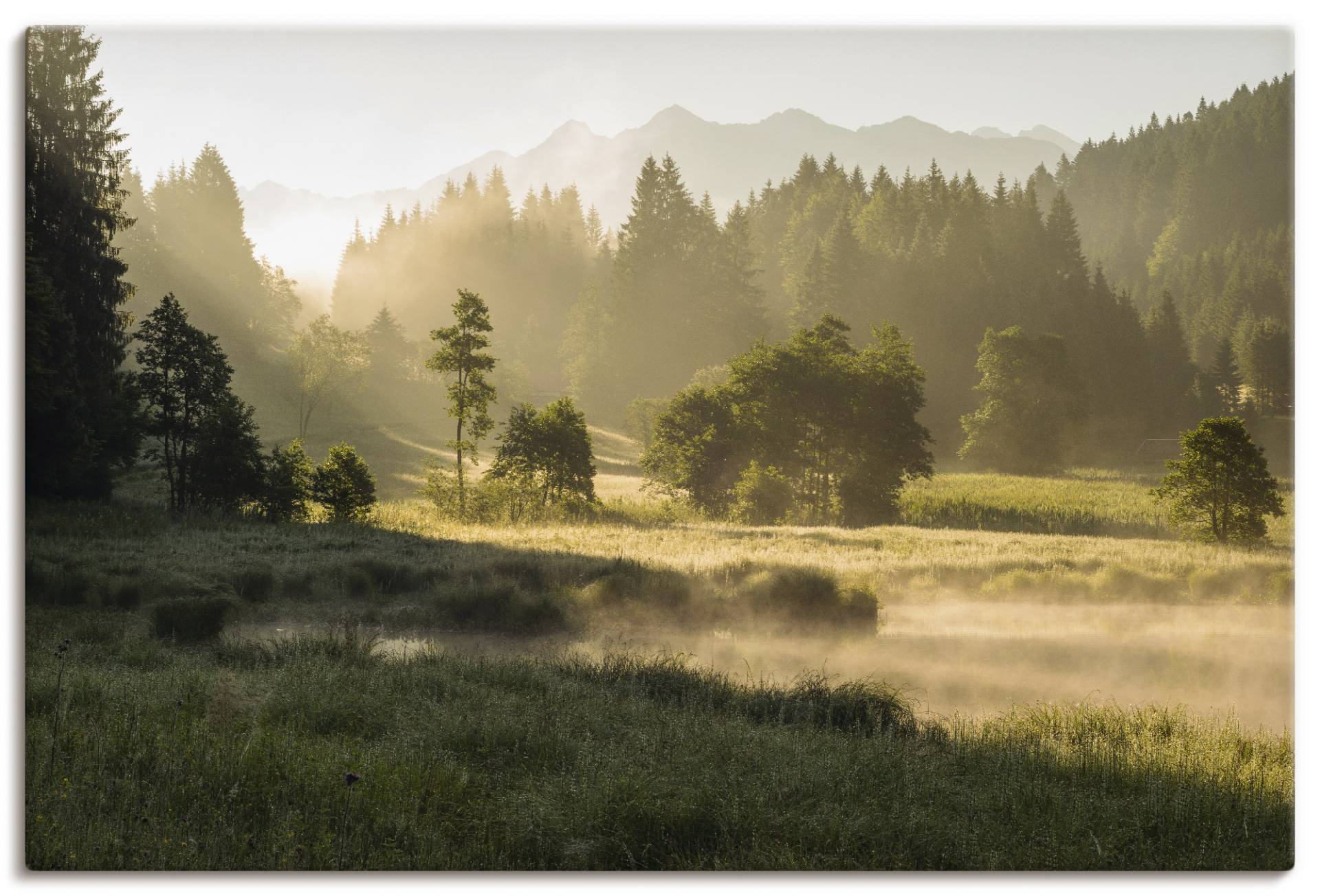 Artland Wandbild »Sommermorgen in den Alpen«, Wiesen & Bäume, (1 St.), als Leinwandbild, Wandaufkleber in verschied. Grössen von Artland