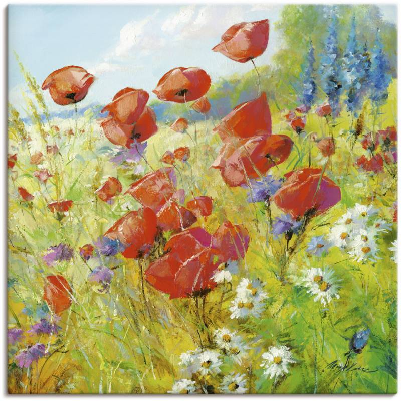 Artland Wandbild »Sommerwiese mit Mohnblumen«, Blumenwiese, (1 St.), als Alubild, Outdoorbild, Leinwandbild, Poster in verschied. Grössen von Artland