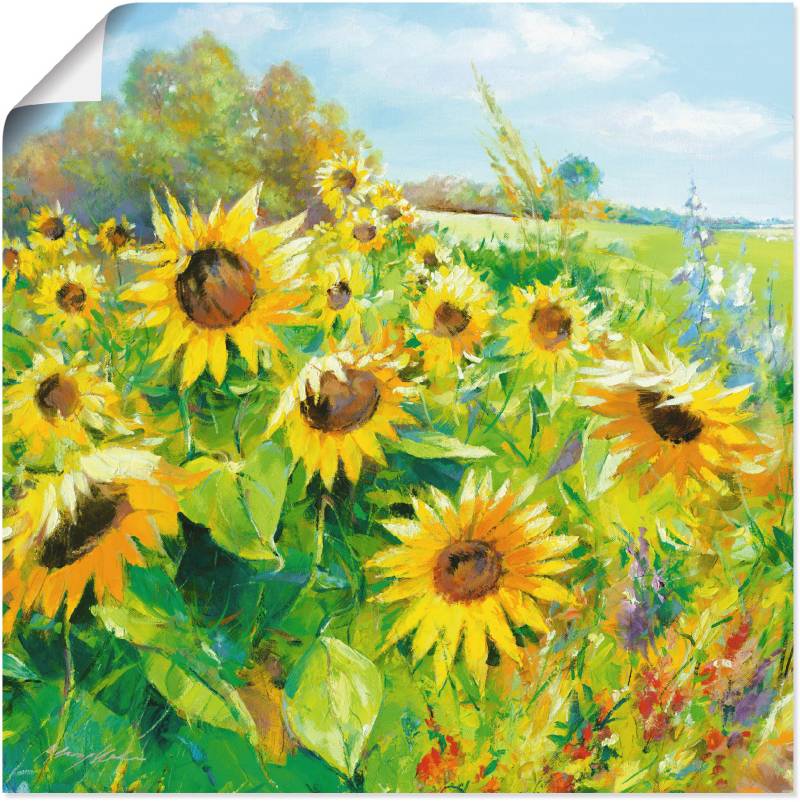 Artland Wandbild »Sommerwiese mit Sonnenblumen«, Blumenwiese, (1 St.), als Alubild, Outdoorbild, Leinwandbild, Poster, Wandaufkleber von Artland