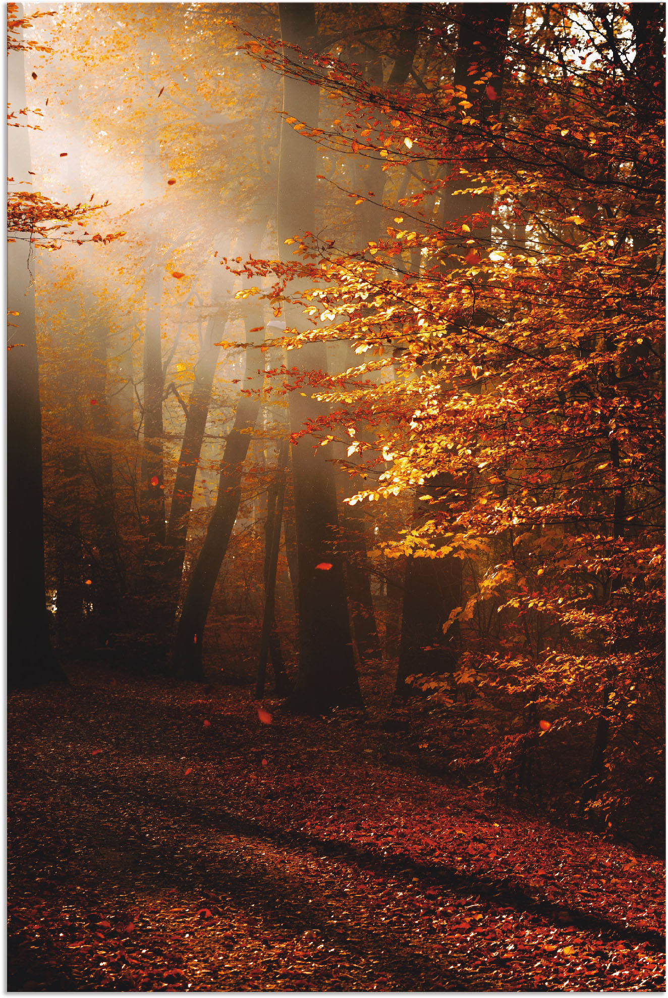 Artland Wandbild »Sonnenaufgang im Herbst«, Wald, (1 St.), als Leinwandbild, Poster in verschied. Grössen von Artland