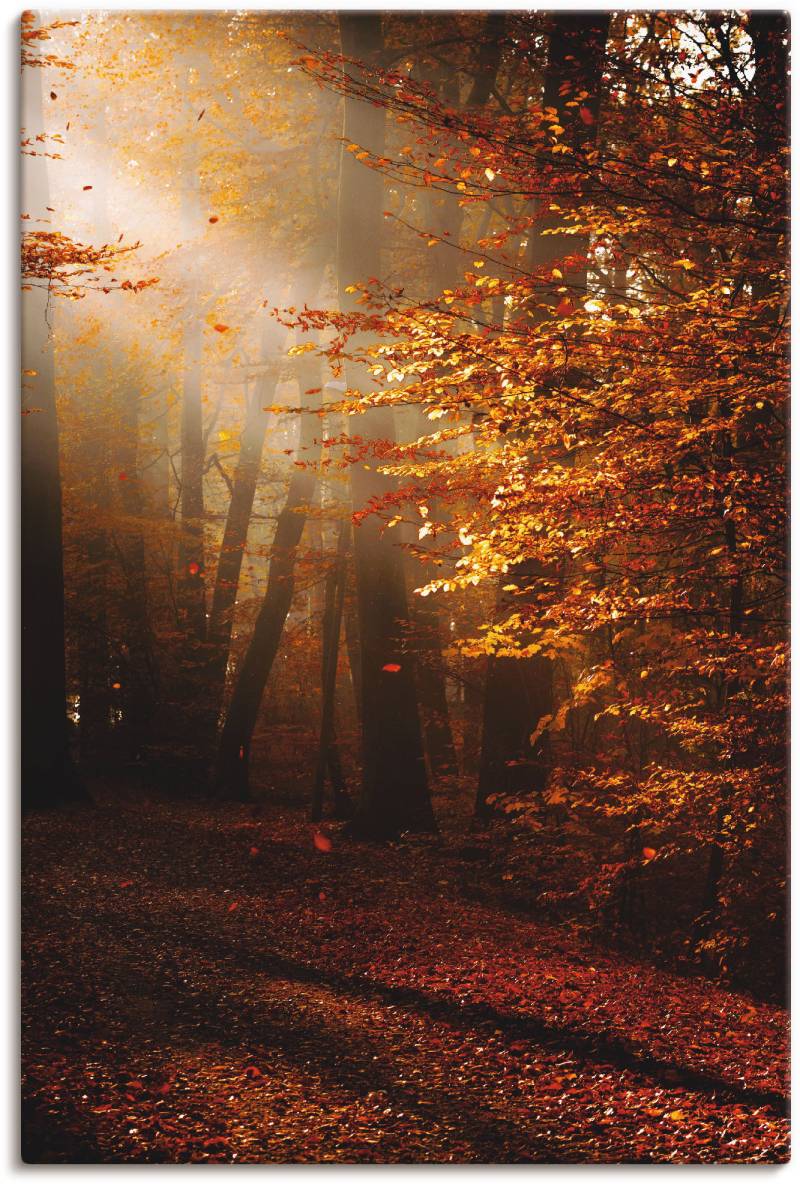 Artland Wandbild »Sonnenaufgang im Herbst«, Wald, (1 St.), als Leinwandbild, Poster in verschied. Grössen von Artland