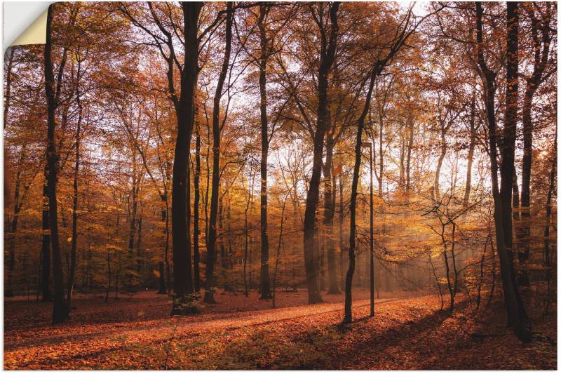 Artland Wandbild »Sonnenaufgang im Herbst II«, Wald, (1 St.), als Alubild, Outdoorbild, Leinwandbild, Poster, Wandaufkleber von Artland