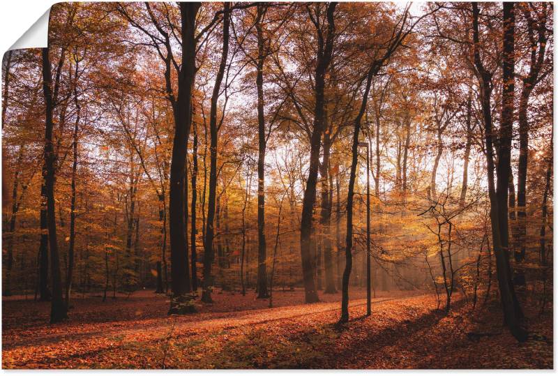 Artland Wandbild »Sonnenaufgang im Herbst II«, Wald, (1 St.), als Alubild, Outdoorbild, Leinwandbild, Poster, Wandaufkleber von Artland