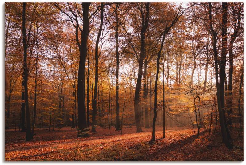 Artland Wandbild »Sonnenaufgang im Herbst II«, Wald, (1 St.), als Alubild, Outdoorbild, Leinwandbild, Poster, Wandaufkleber von Artland