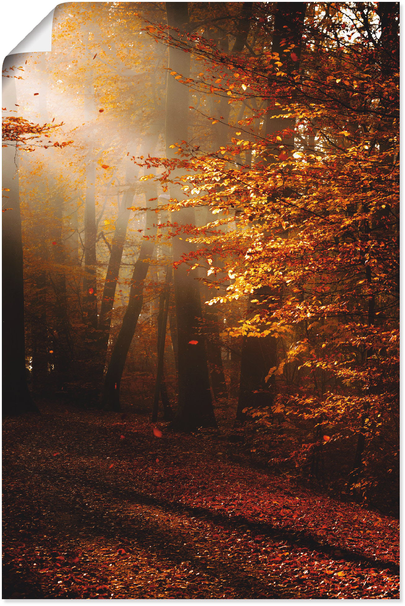 Artland Wandbild »Sonnenaufgang im Herbst«, Wald, (1 St.), als Leinwandbild, Poster in verschied. Grössen von Artland