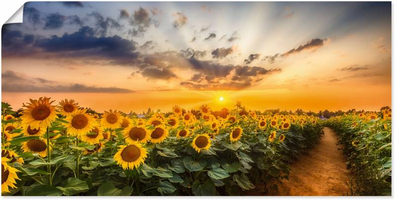 Artland Wandbild »Sonnenblumenfeld bei Sonnenuntergang«, Blumenbilder, (1 St.), als Alubild, Outdoorbild, Leinwandbild, Poster in verschied. Grössen von Artland