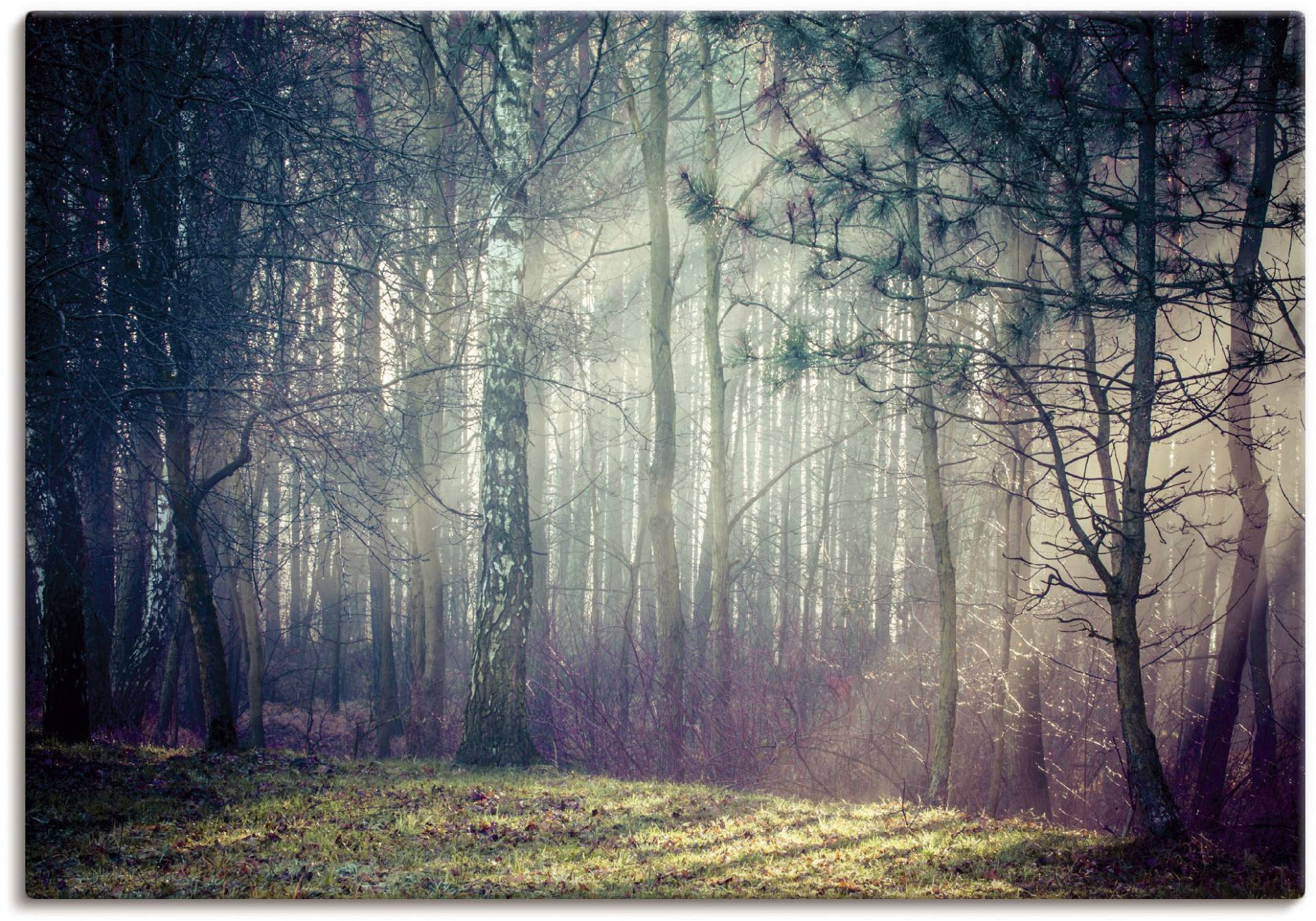 Artland Wandbild »Sonnenstrahlen im Wald«, Waldbilder, (1 St.), als Alubild, Outdoorbild, Leinwandbild in verschied. Grössen von Artland