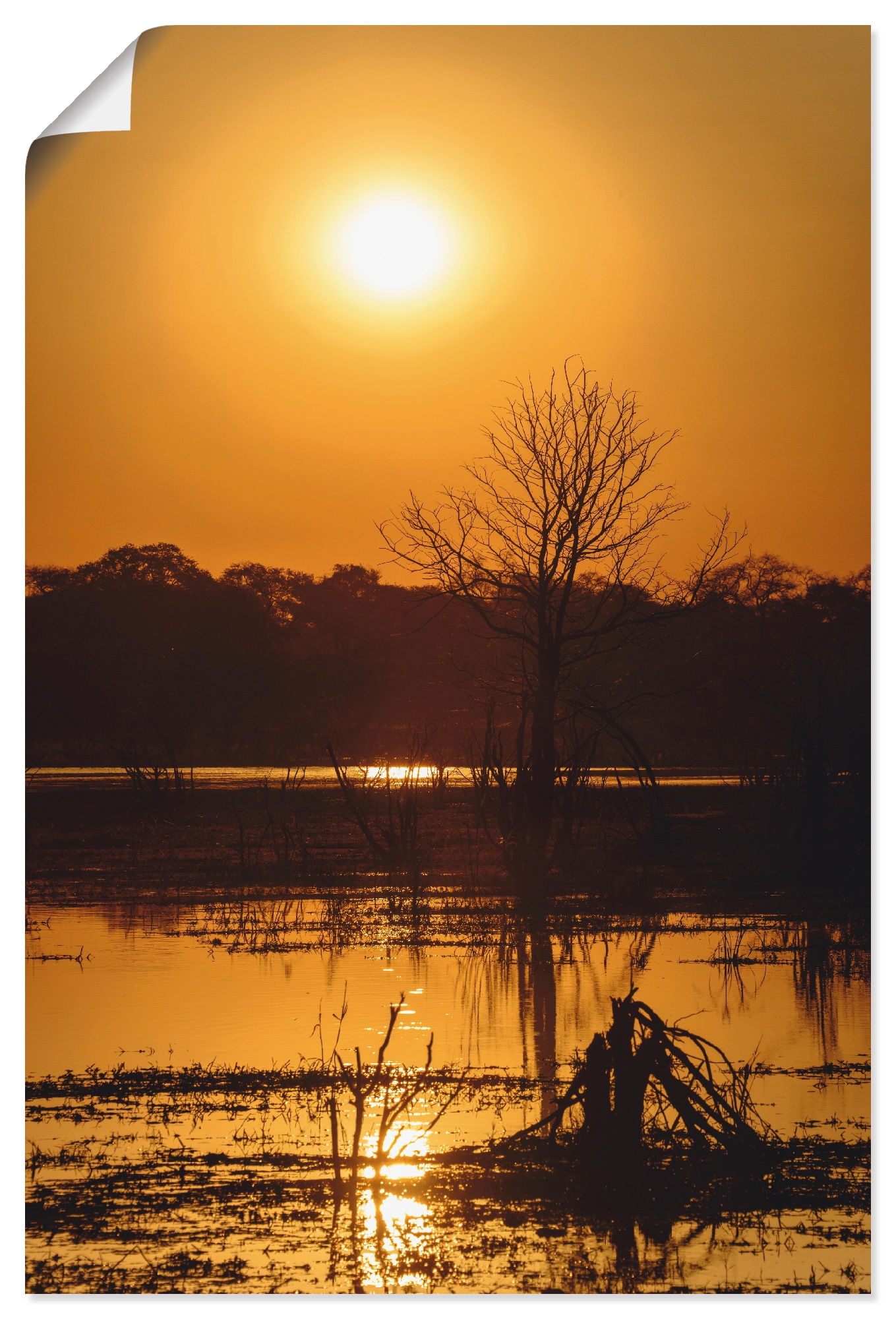 Artland Poster »Sonnenuntergang II«, Afrika, (1 St.), als Alubild, Leinwandbild, Wandaufkleber oder Poster in versch. Grössen von Artland