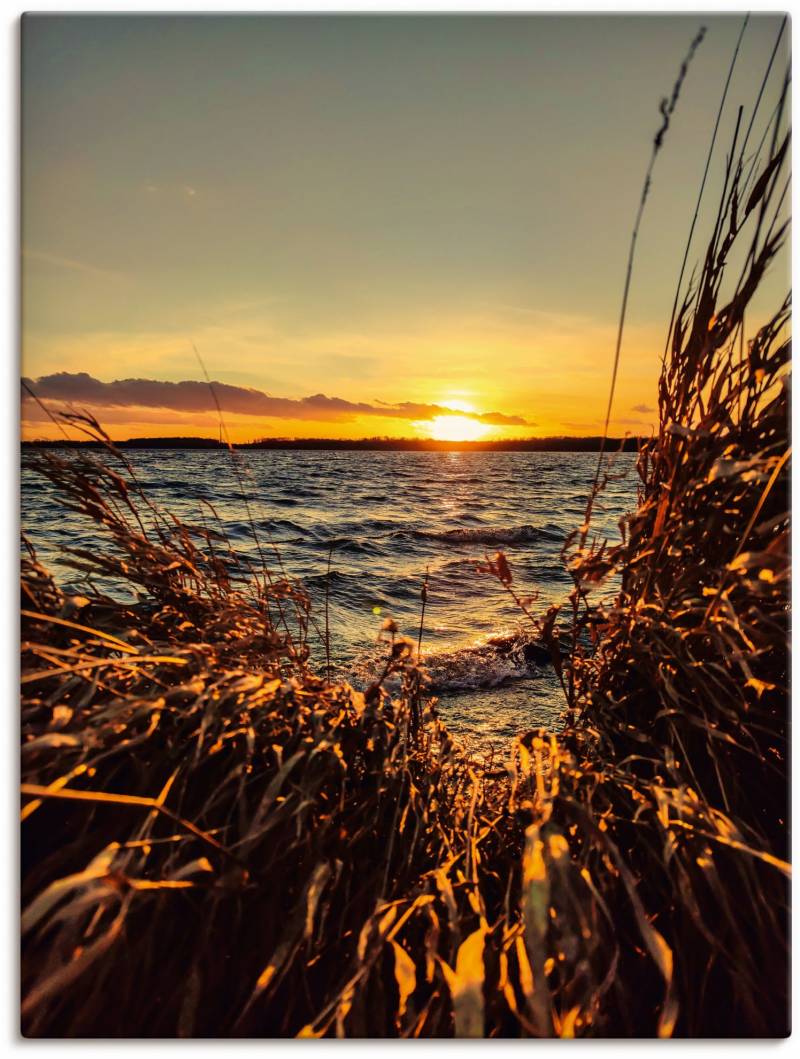 Artland Wandbild »Sonnenuntergang am See im Schilf«, Gewässer, (1 St.), als Alubild, Leinwandbild, Wandaufkleber oder Poster in versch. Grössen von Artland