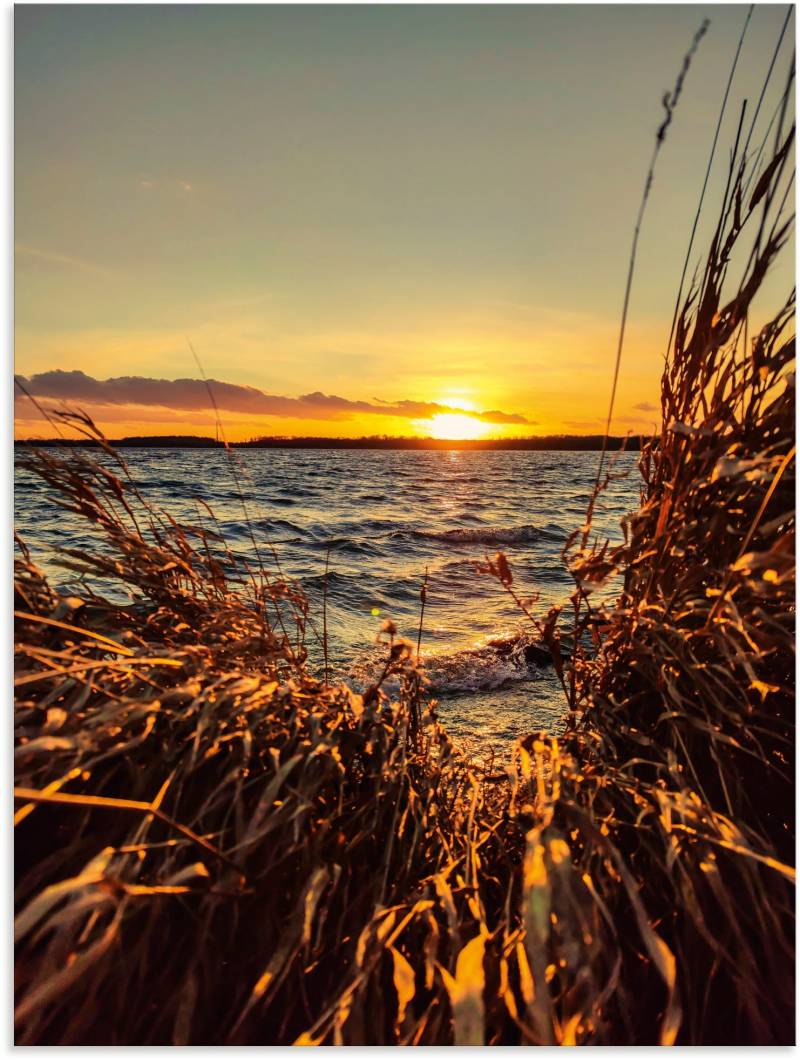 Artland Wandbild »Sonnenuntergang am See im Schilf«, Gewässer, (1 St.), als Alubild, Leinwandbild, Wandaufkleber oder Poster in versch. Grössen von Artland