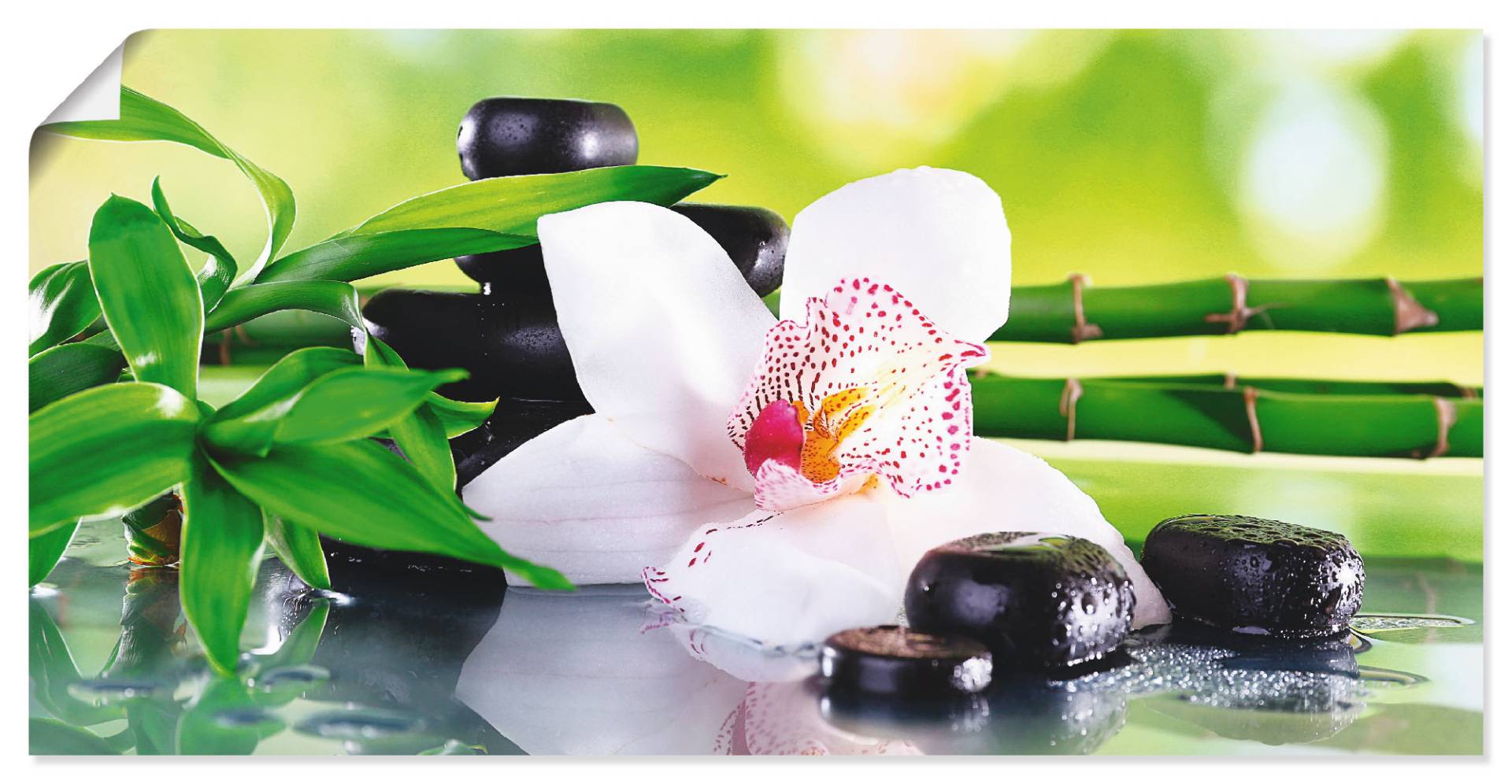 Artland Wandbild »Spa Steine Bambus Zweige Orchidee«, Zen, (1 St.), als Alubild, Outdoorbild, Leinwandbild, Poster, Wandaufkleber Artland Wandbild »Spa Steine Bambus Zweige Orchidee«, Zen, (1 St.), als Alubild, Outdoorbild, Leinwandbild, Poster, Wandaufkleber von Artland
