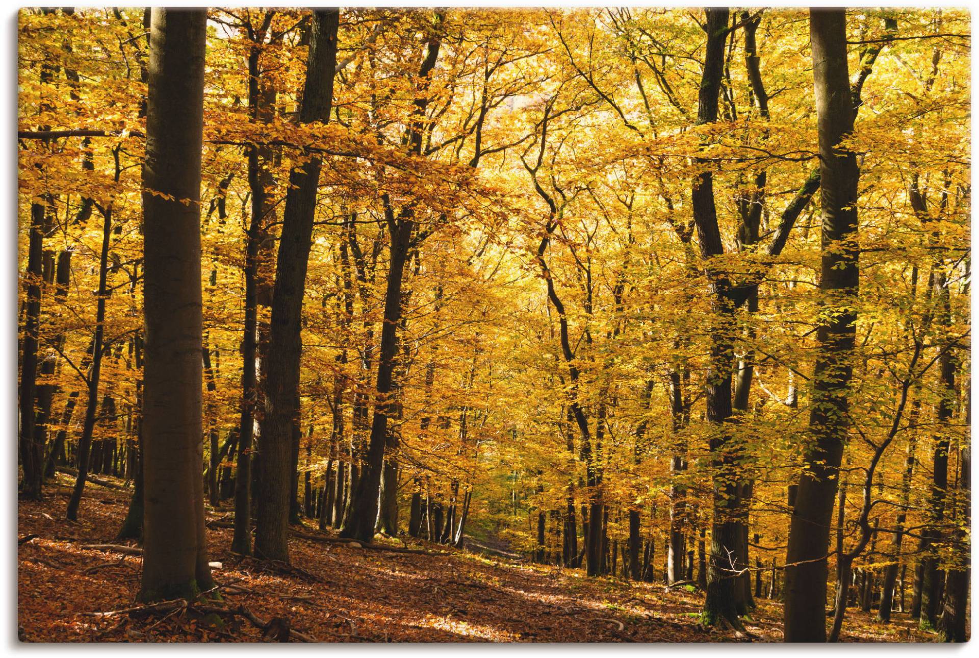 Artland Wandbild »Spaziergang im Herbstwald«, Wald, (1 St.), als Alubild, Outdoorbild, Leinwandbild, Poster in verschied. Grössen von Artland