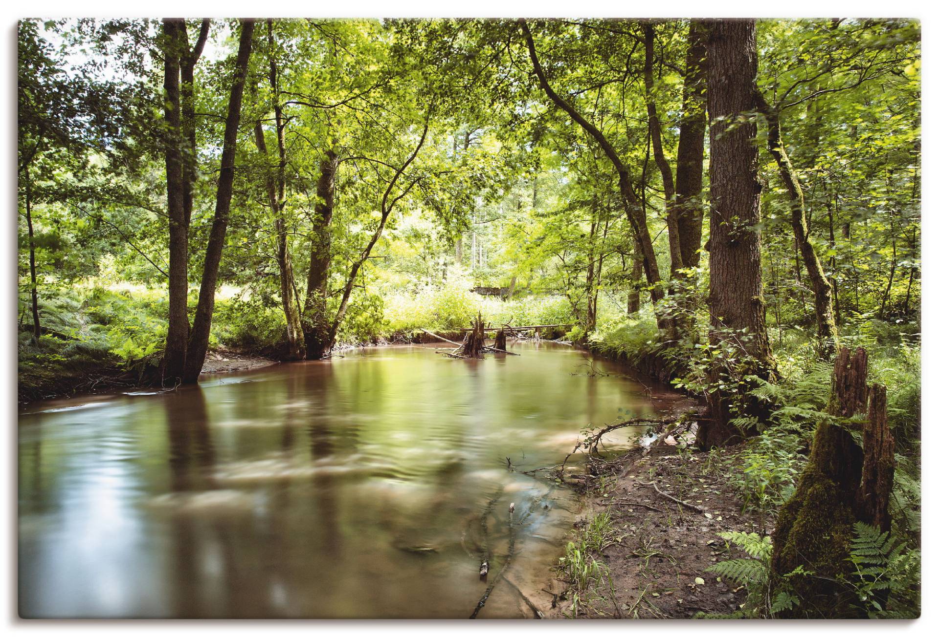 Artland Leinwandbild »Spessart II«, Wald, (1 St.), auf Keilrahmen gespannt von Artland